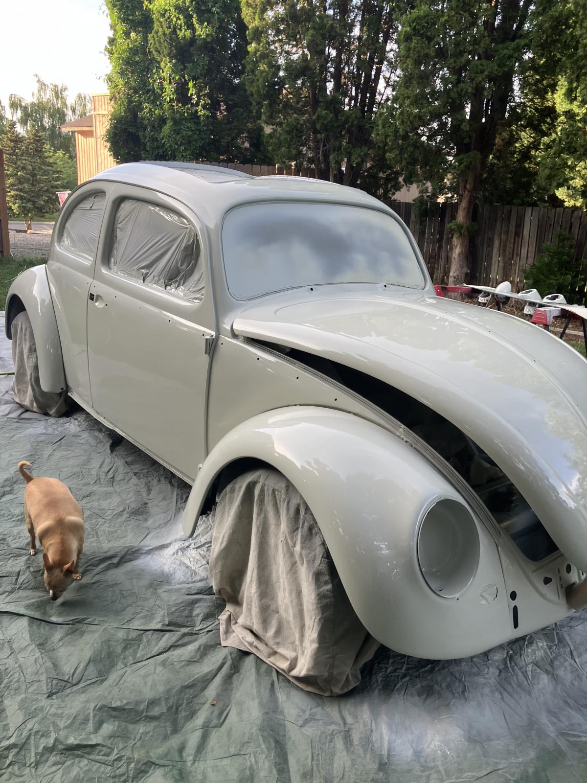 Image may have been reduced in size. Click image to view fullscreen.