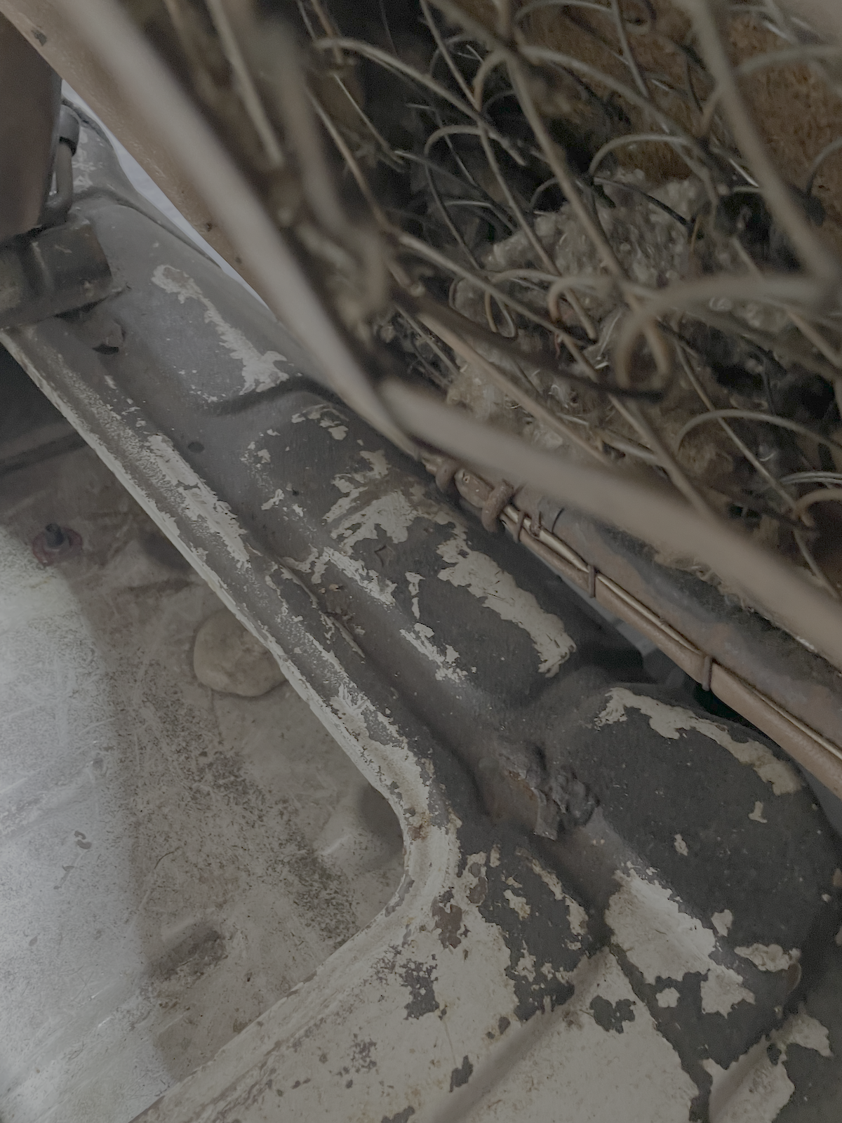 Image may have been reduced in size. Click image to view fullscreen.