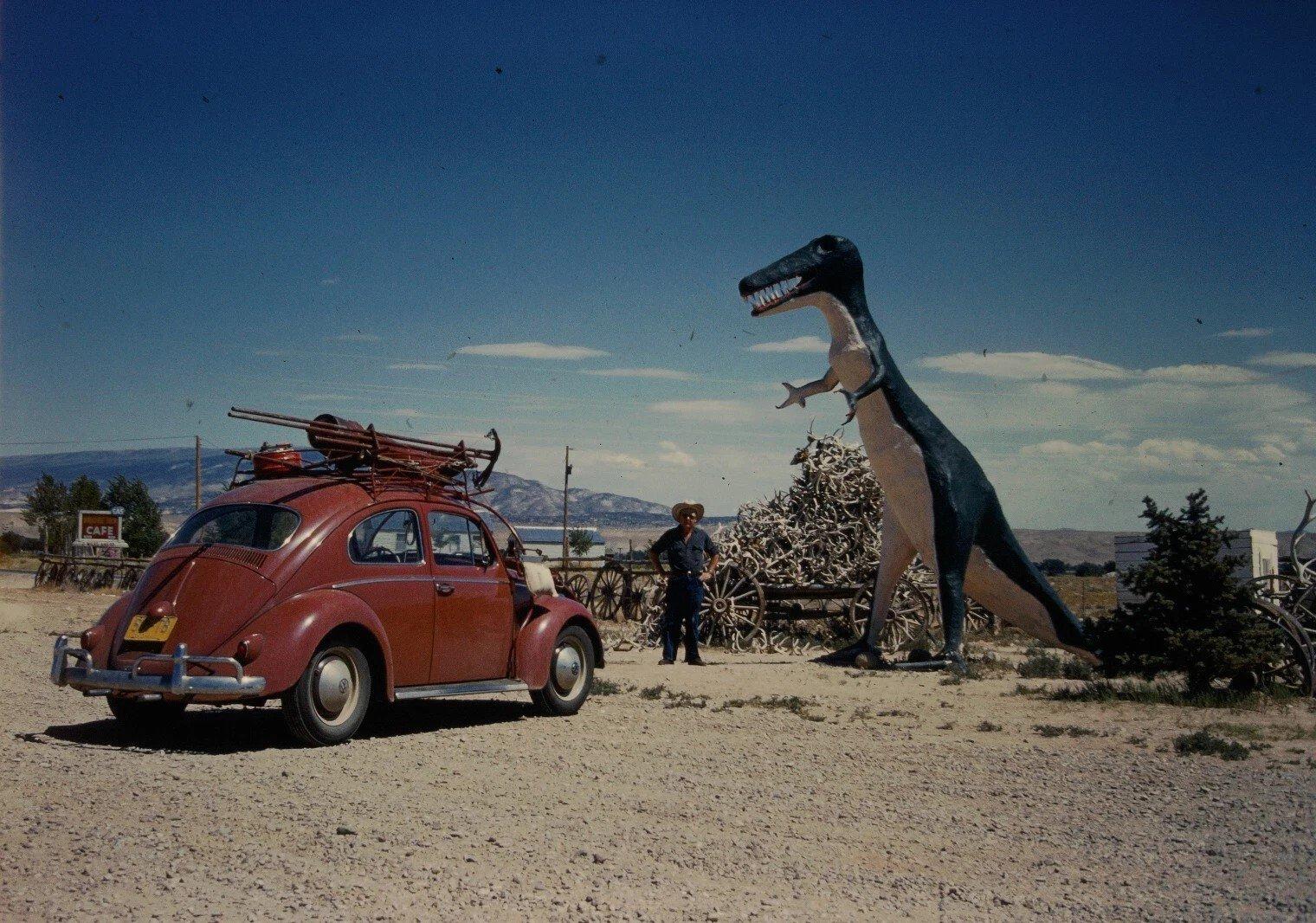 Image may have been reduced in size. Click image to view fullscreen.