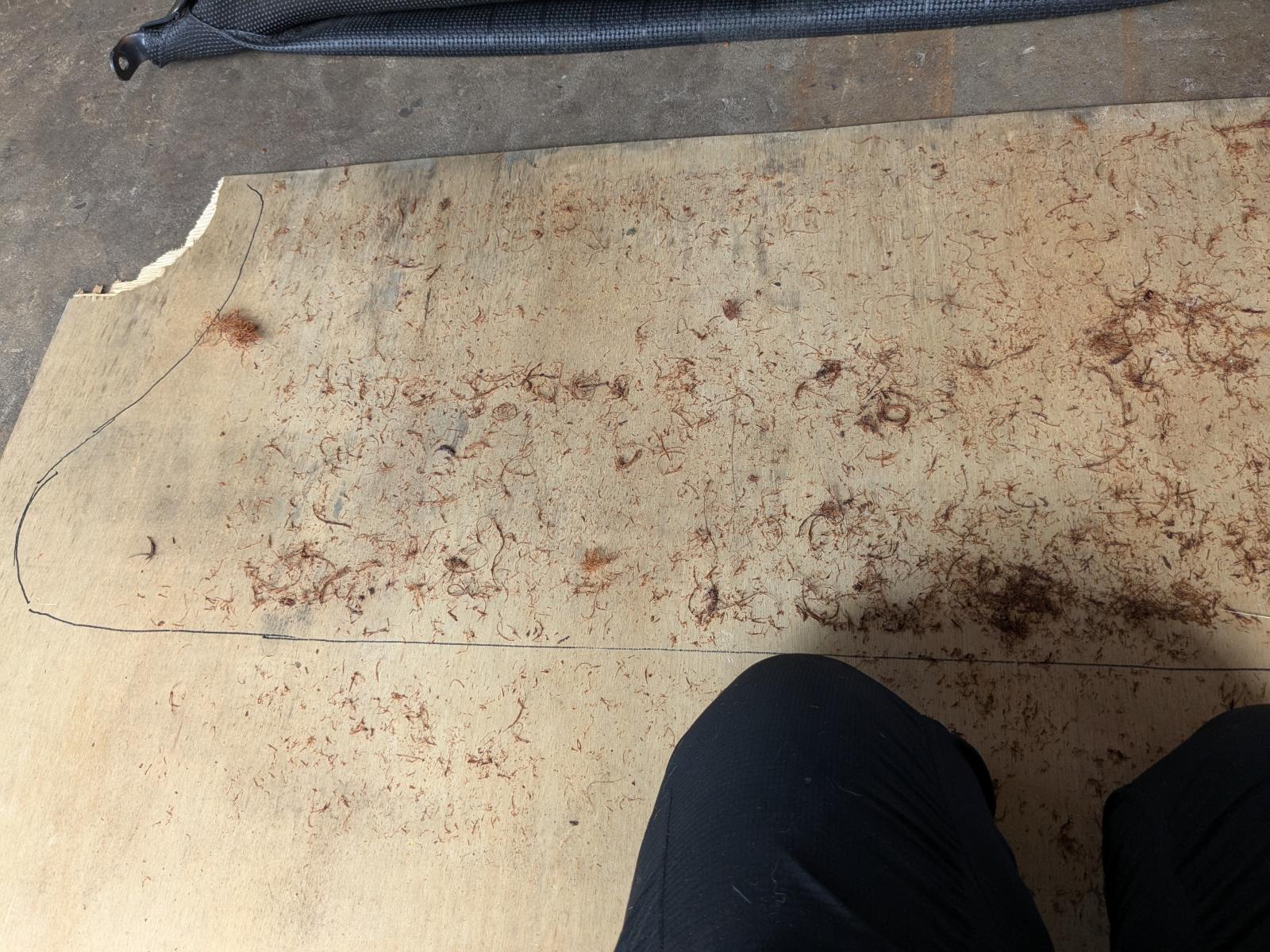 Image may have been reduced in size. Click image to view fullscreen.