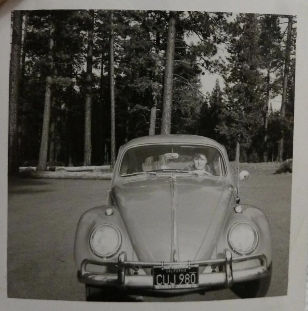 Image may have been reduced in size. Click image to view fullscreen.