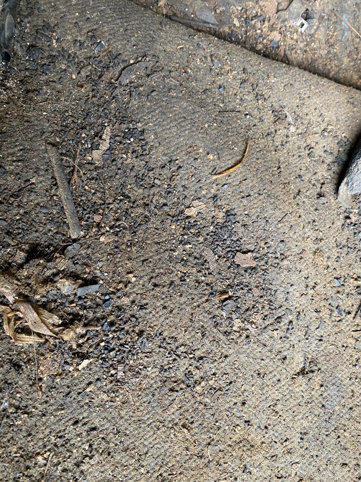 Image may have been reduced in size. Click image to view fullscreen.