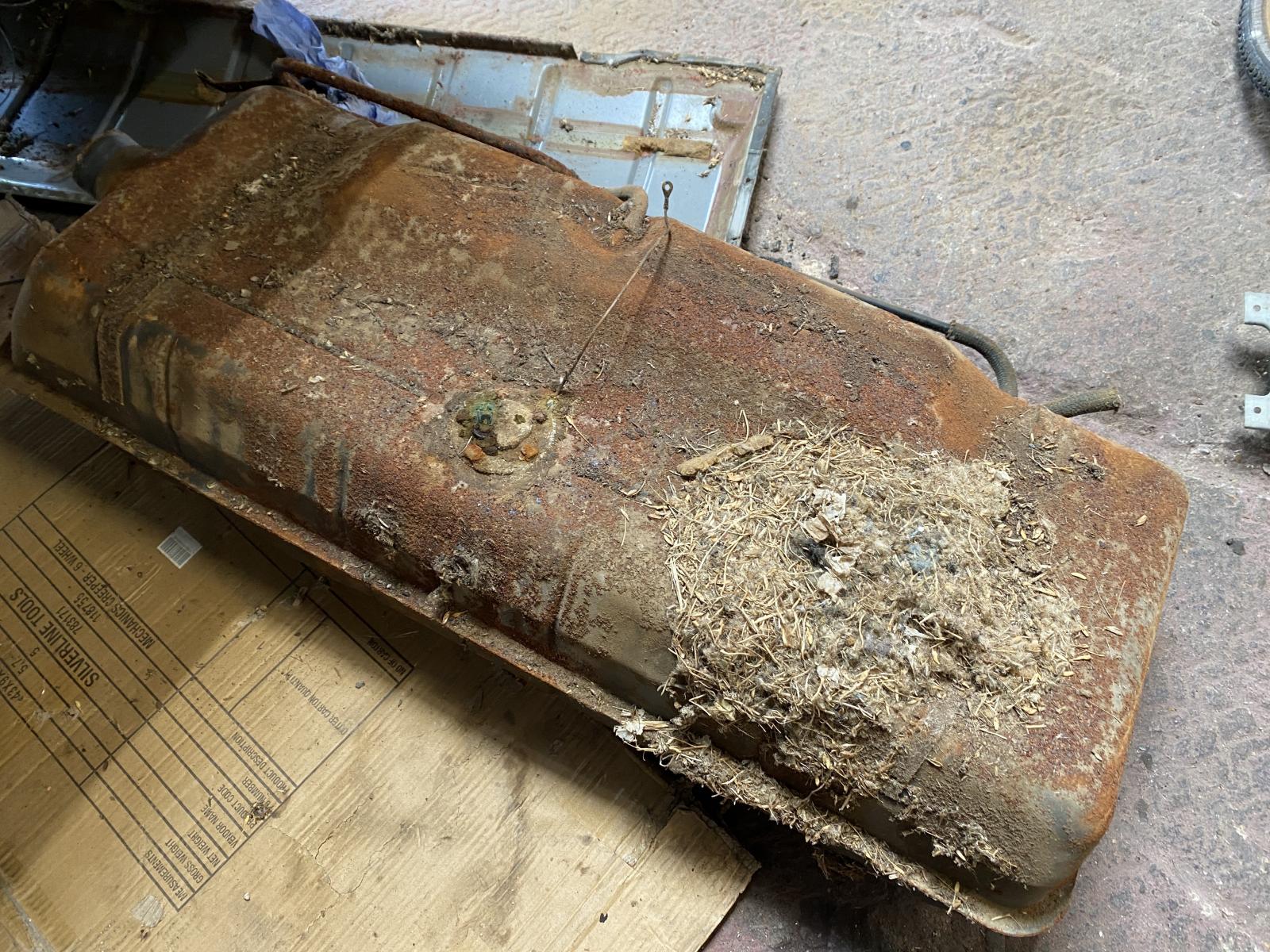 Image may have been reduced in size. Click image to view fullscreen.