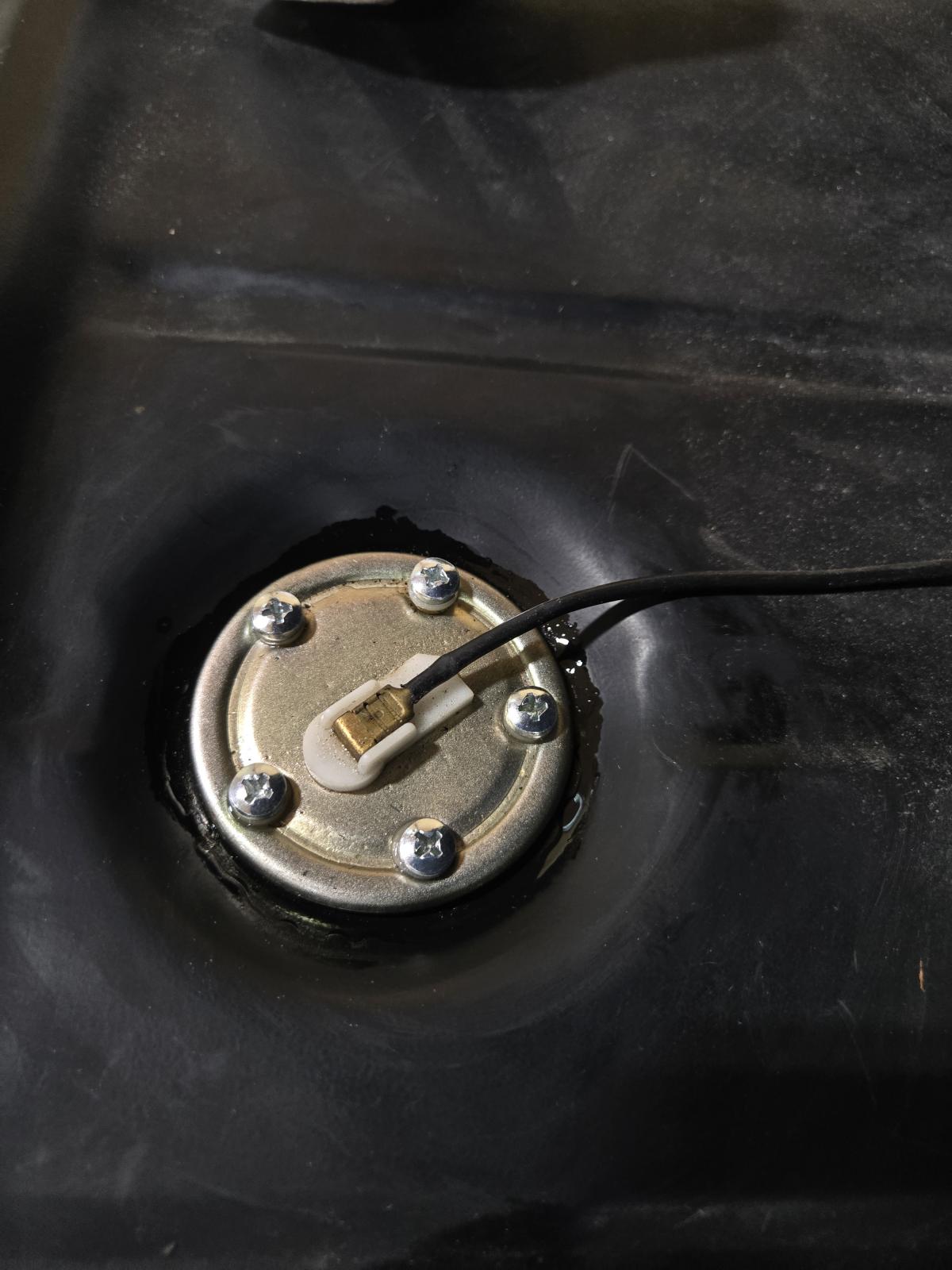 Image may have been reduced in size. Click image to view fullscreen.