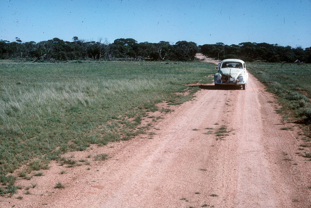 Image may have been reduced in size. Click image to view fullscreen.