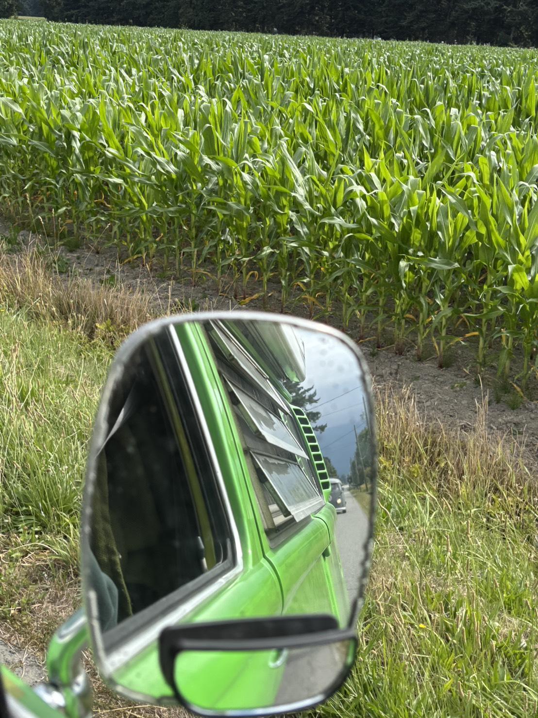 Image may have been reduced in size. Click image to view fullscreen.