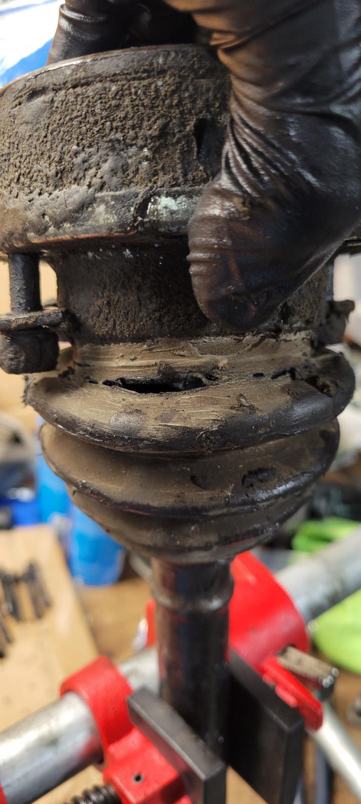 Image may have been reduced in size. Click image to view fullscreen.