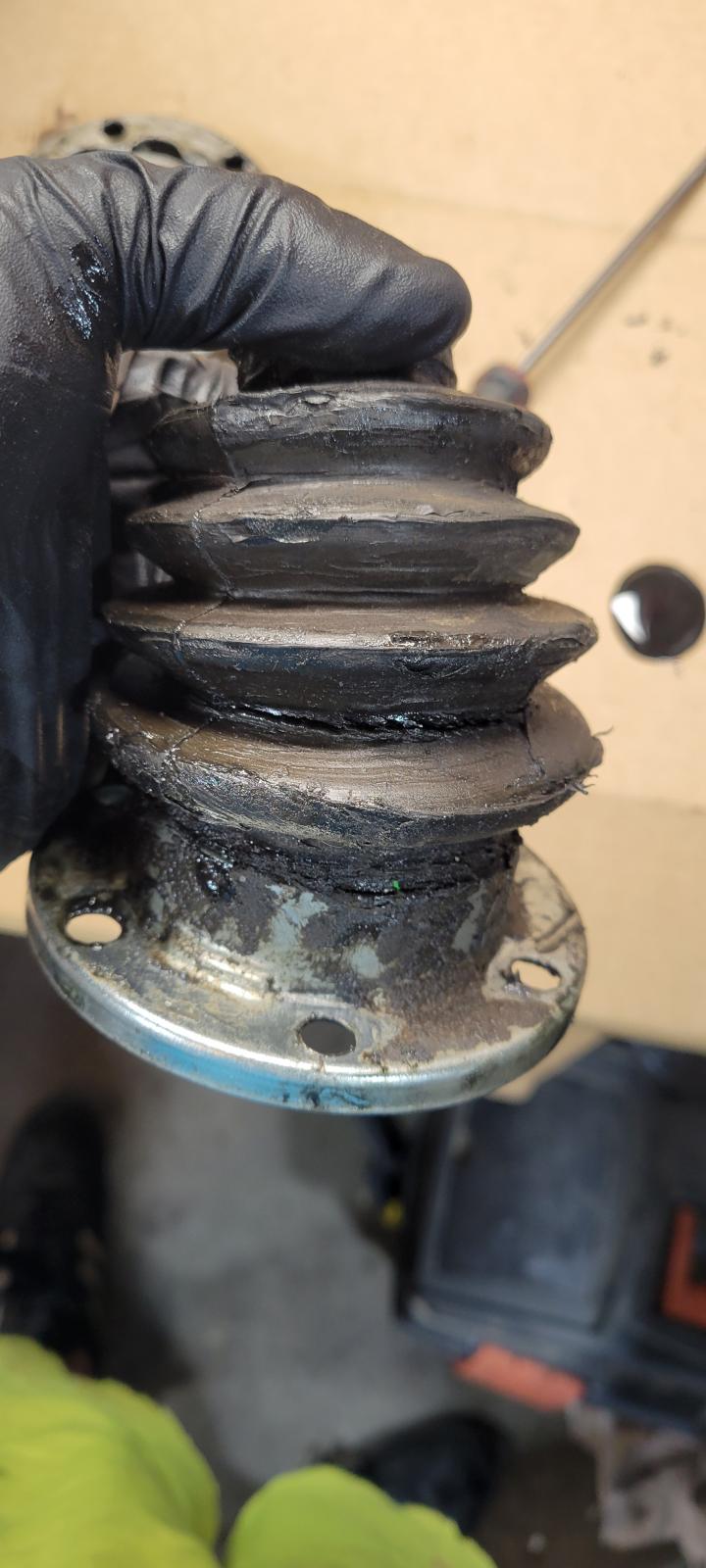 Image may have been reduced in size. Click image to view fullscreen.