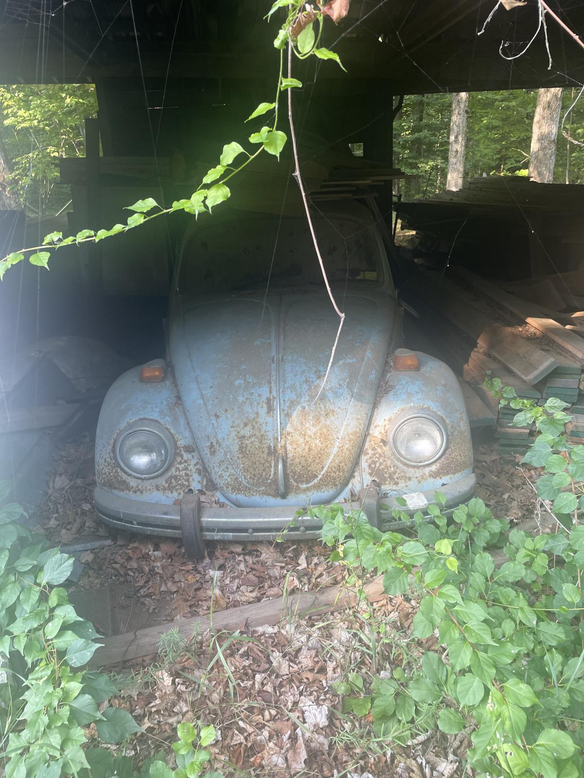 Image may have been reduced in size. Click image to view fullscreen.