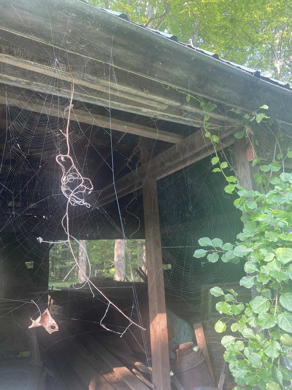 Image may have been reduced in size. Click image to view fullscreen.