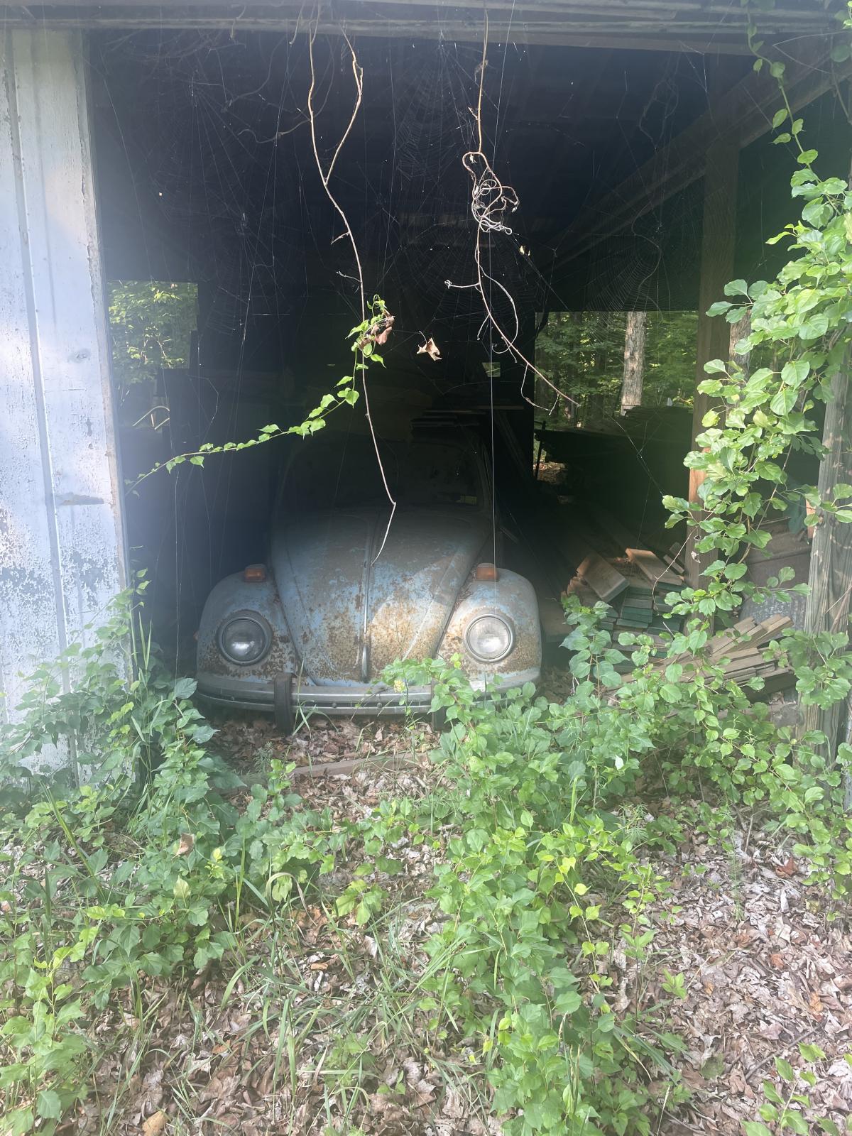 Image may have been reduced in size. Click image to view fullscreen.