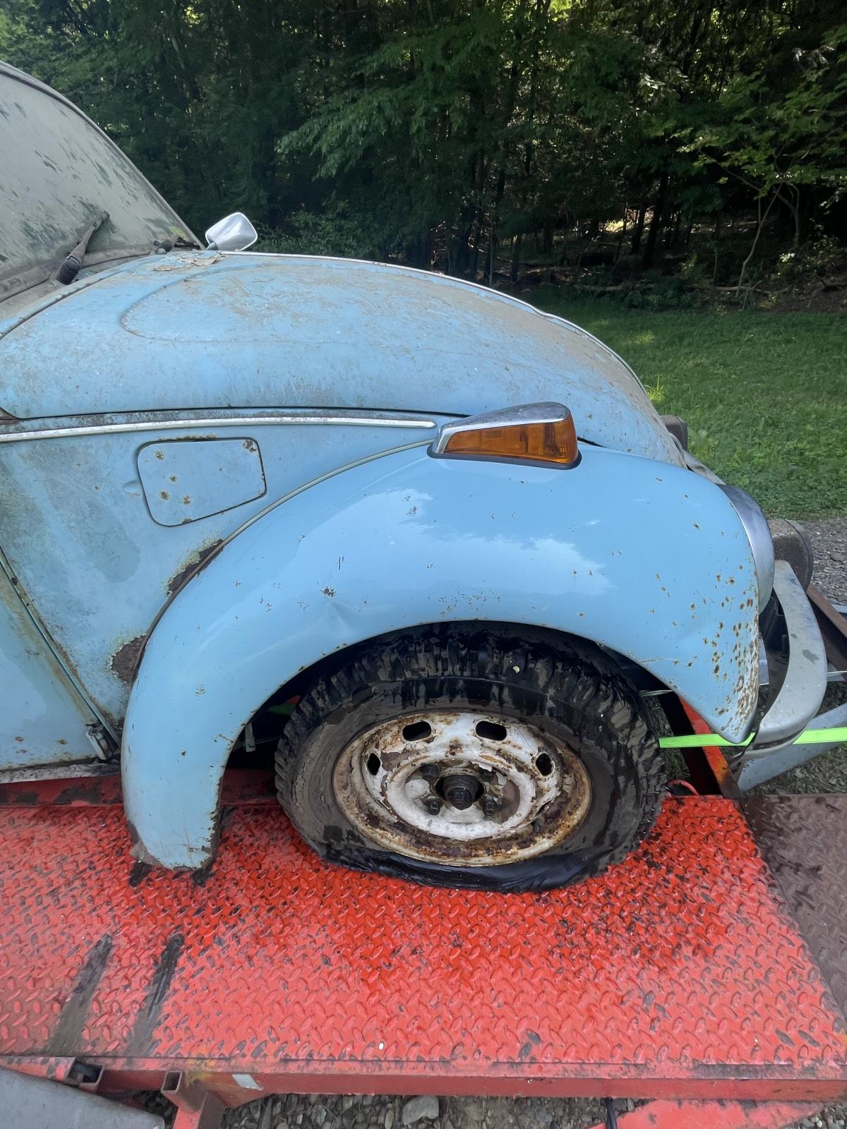 Image may have been reduced in size. Click image to view fullscreen.