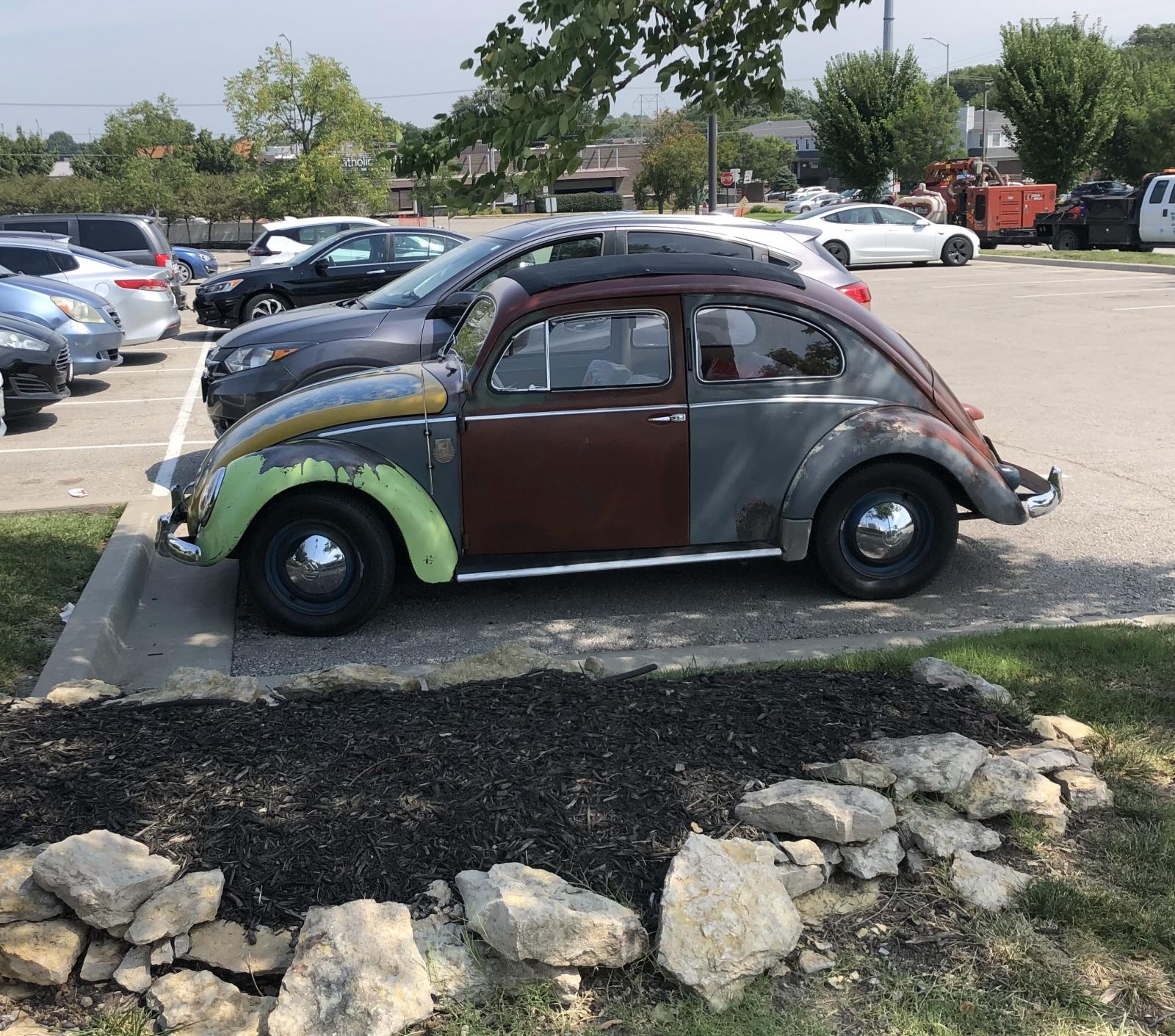 Image may have been reduced in size. Click image to view fullscreen.