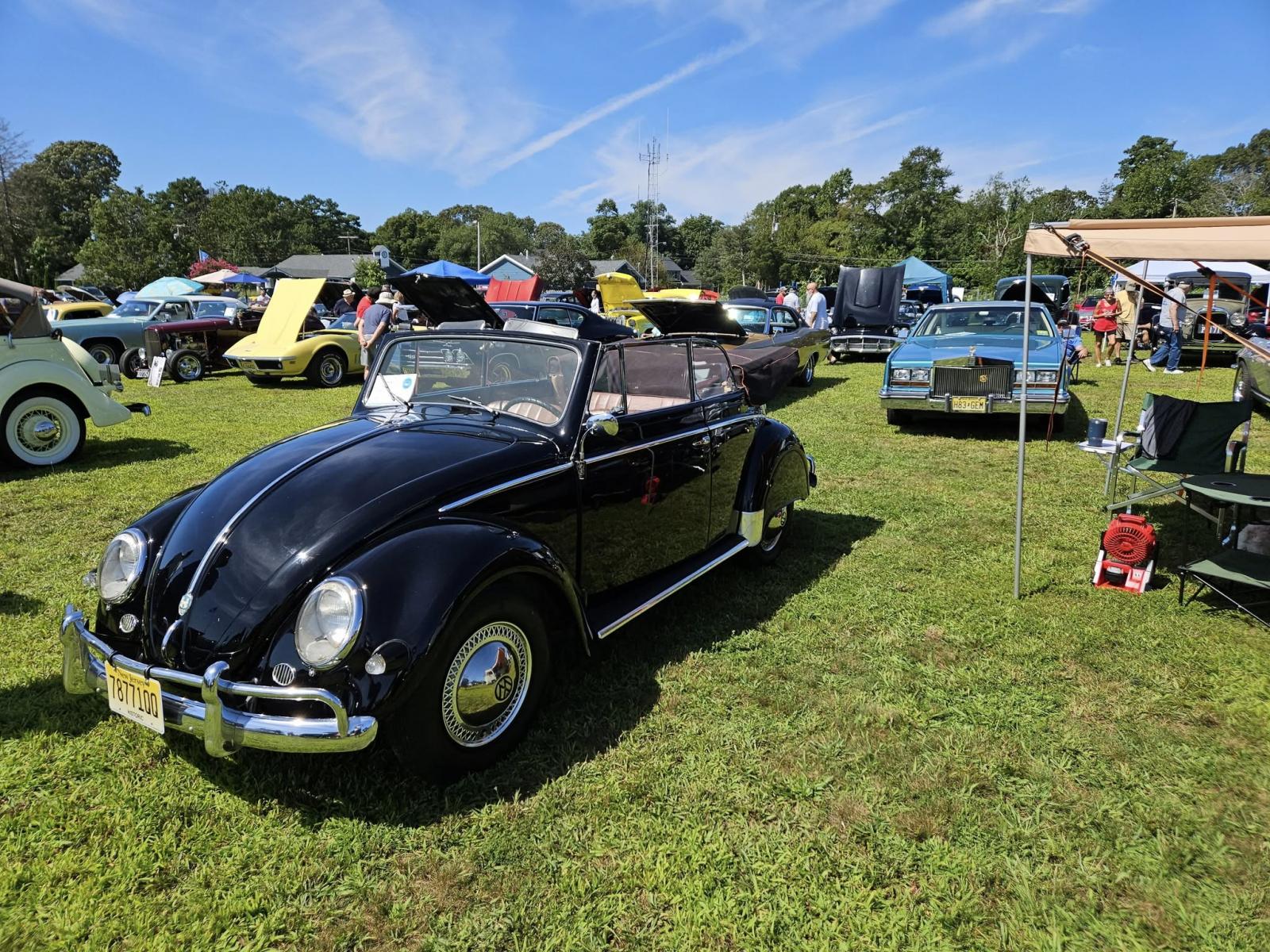 Image may have been reduced in size. Click image to view fullscreen.