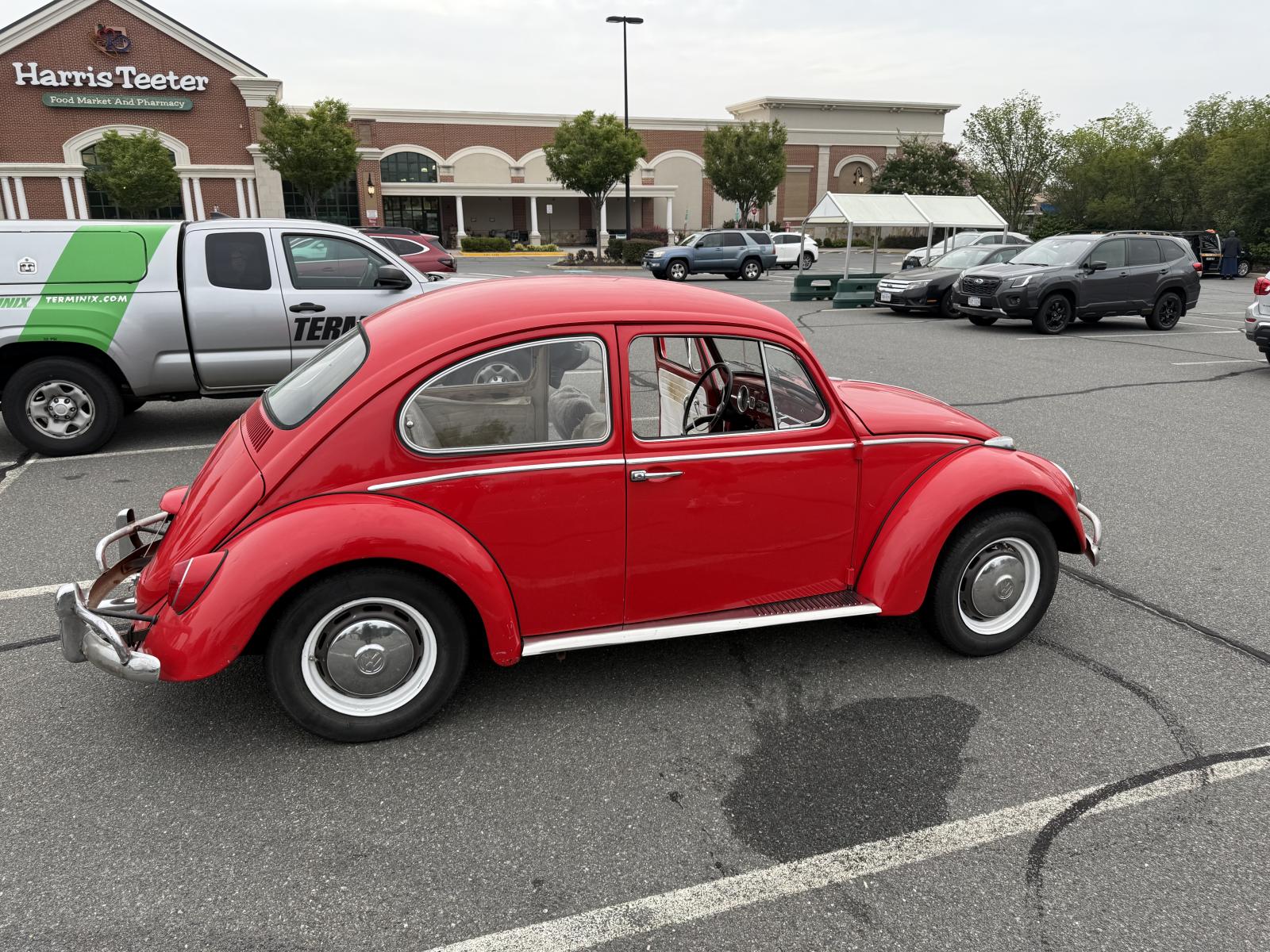 Image may have been reduced in size. Click image to view fullscreen.