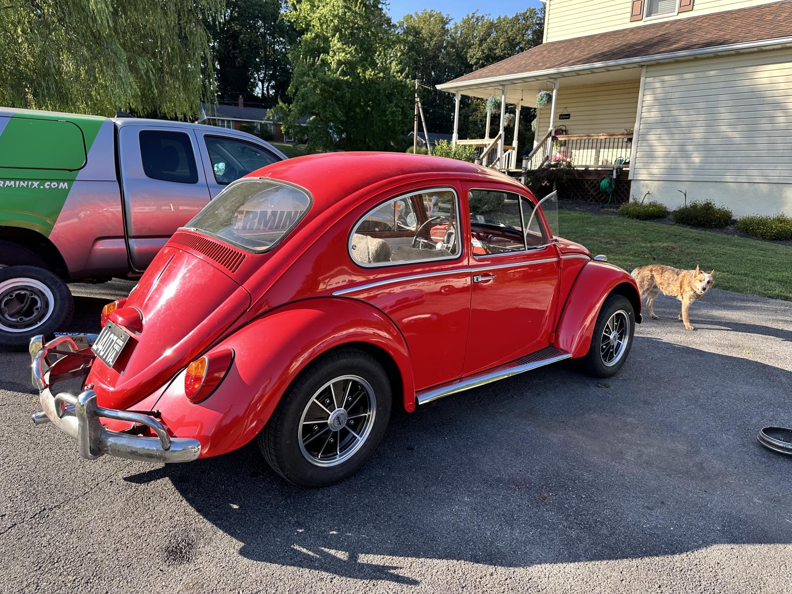 Image may have been reduced in size. Click image to view fullscreen.