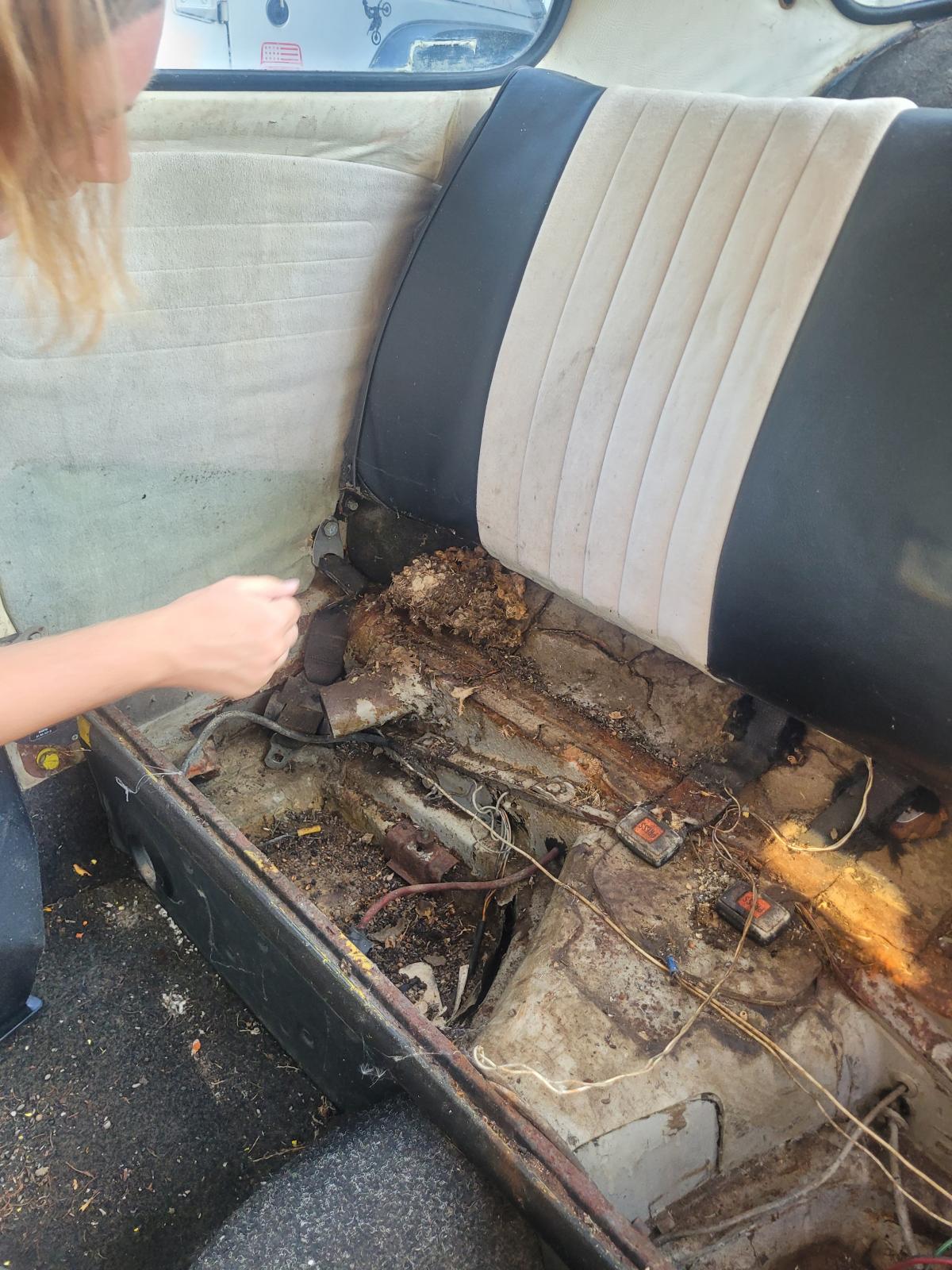 Image may have been reduced in size. Click image to view fullscreen.