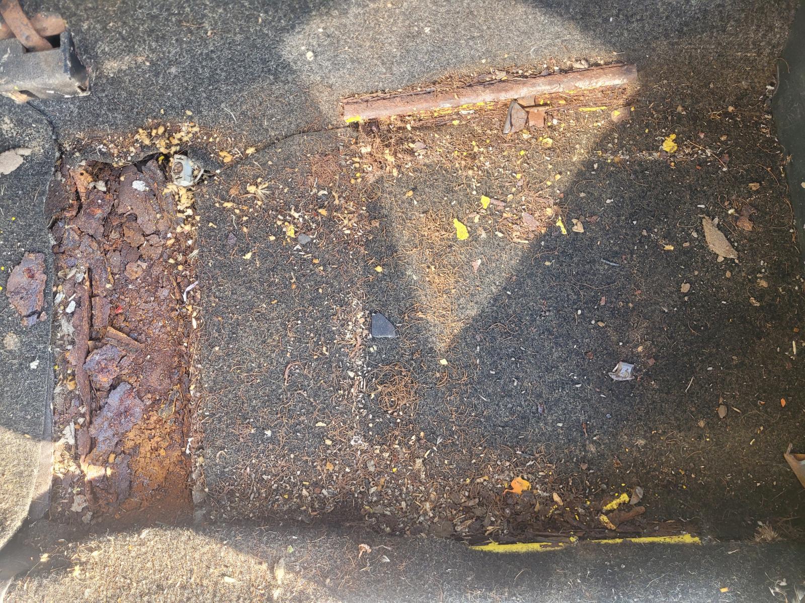 Image may have been reduced in size. Click image to view fullscreen.