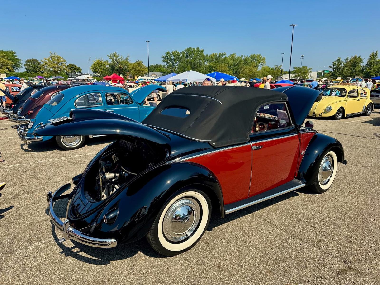 Image may have been reduced in size. Click image to view fullscreen.