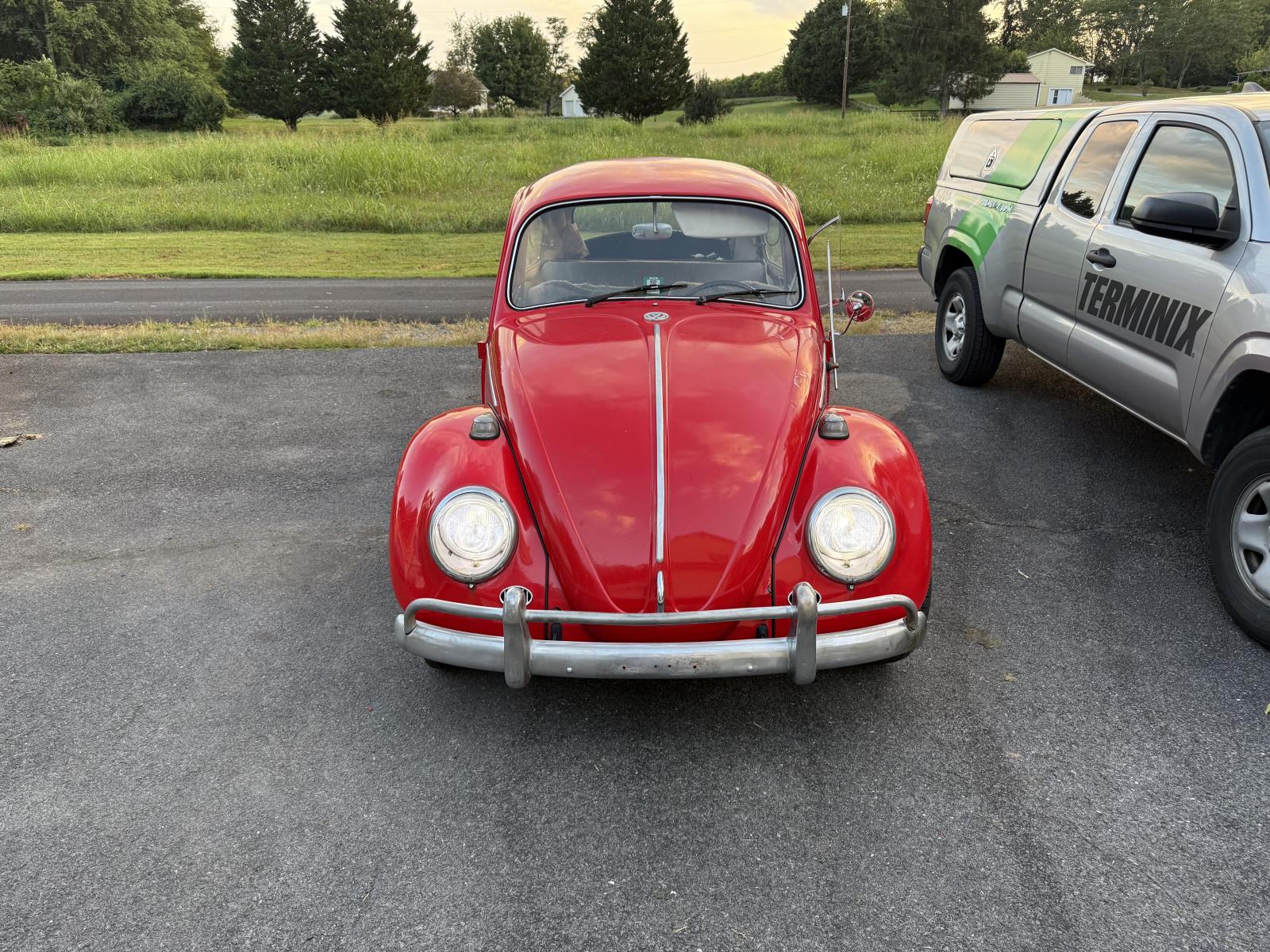 Image may have been reduced in size. Click image to view fullscreen.