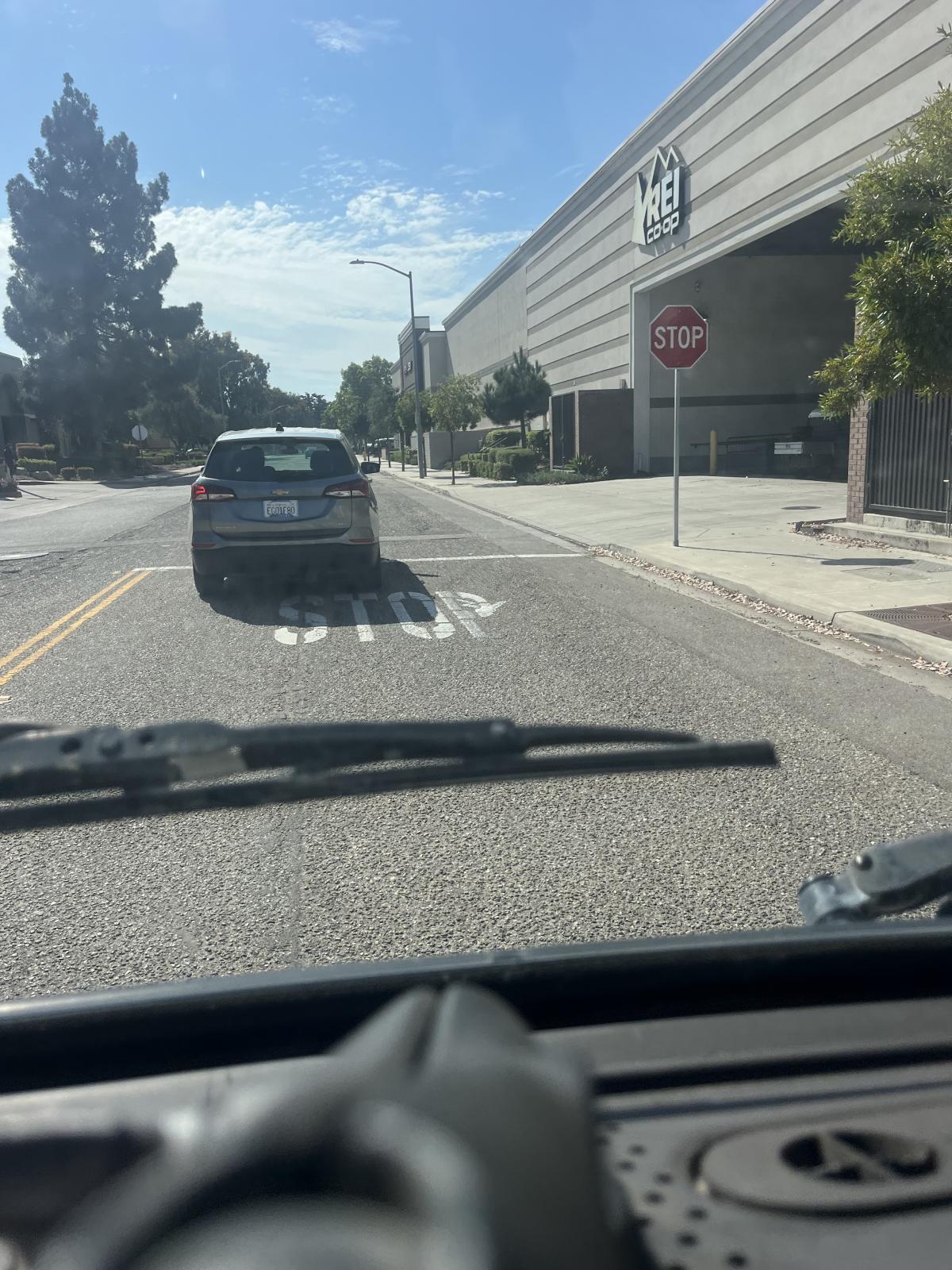 Image may have been reduced in size. Click image to view fullscreen.