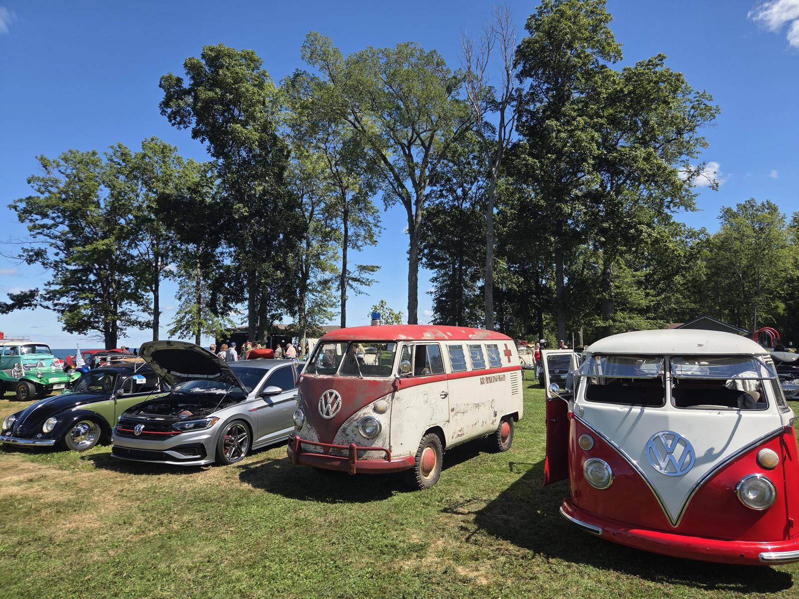 Image may have been reduced in size. Click image to view fullscreen.