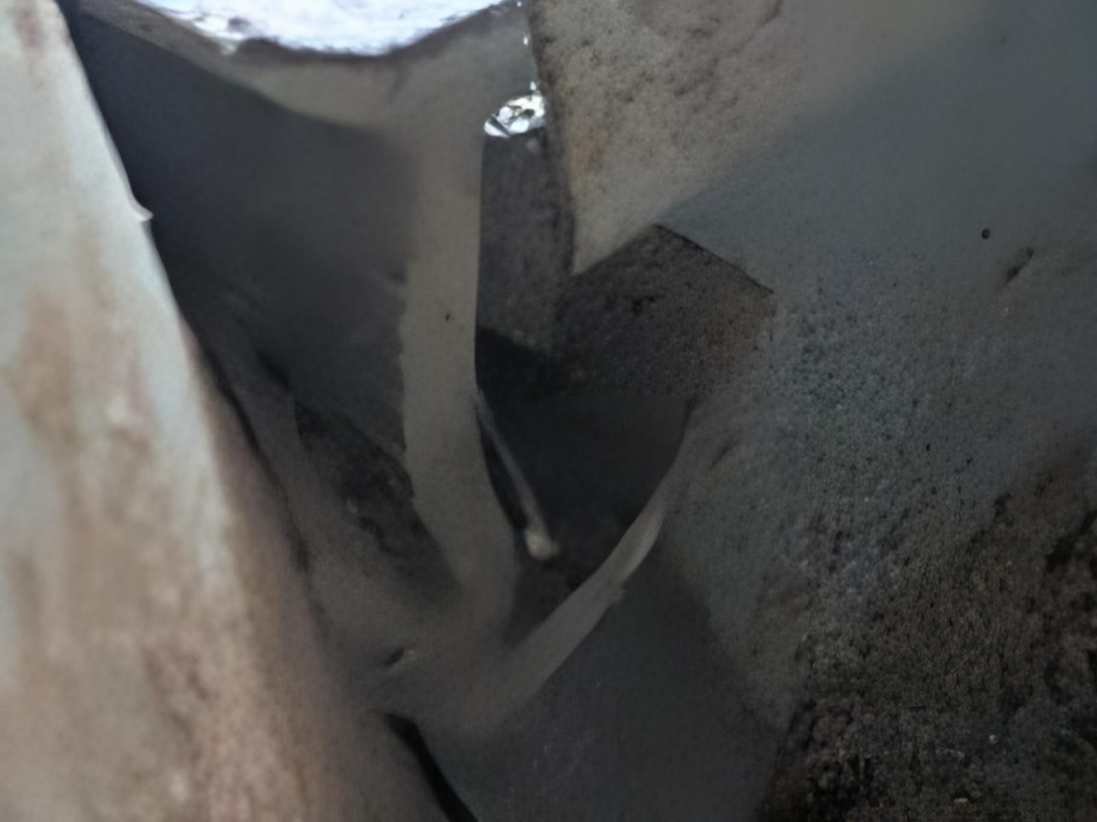Image may have been reduced in size. Click image to view fullscreen.