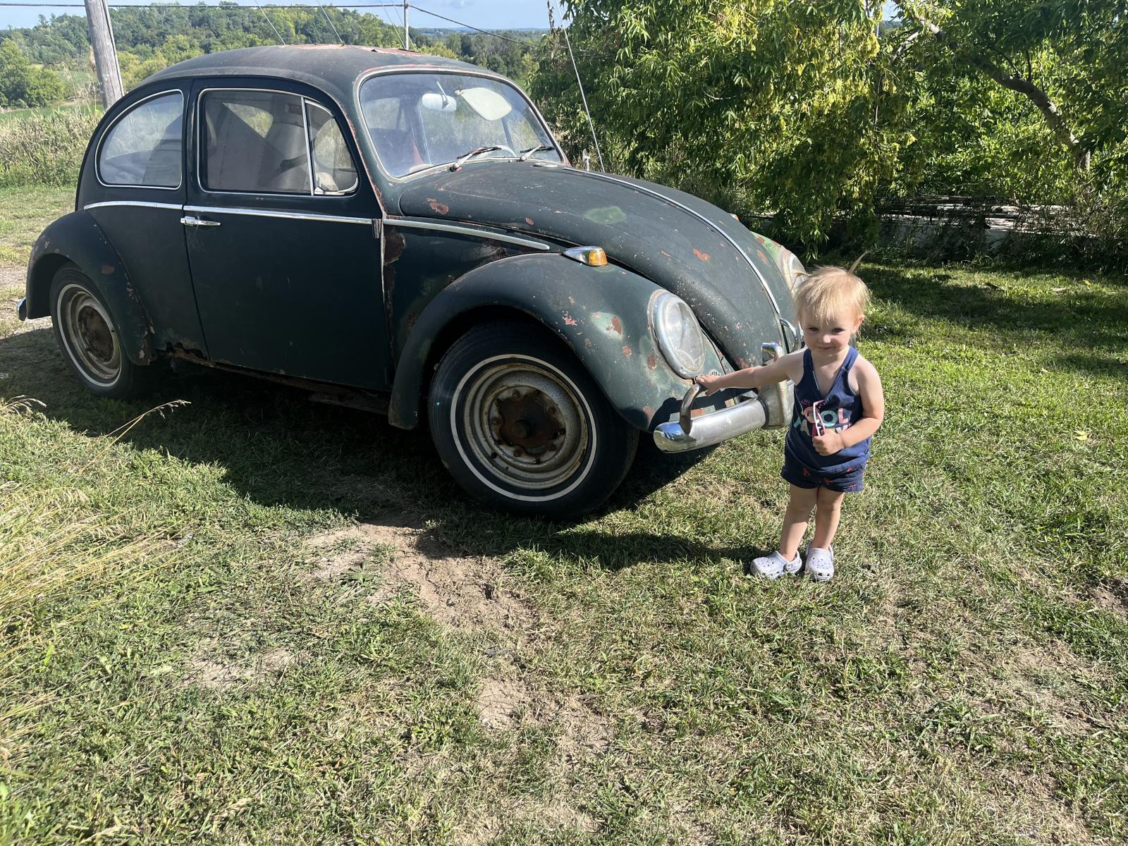 Image may have been reduced in size. Click image to view fullscreen.