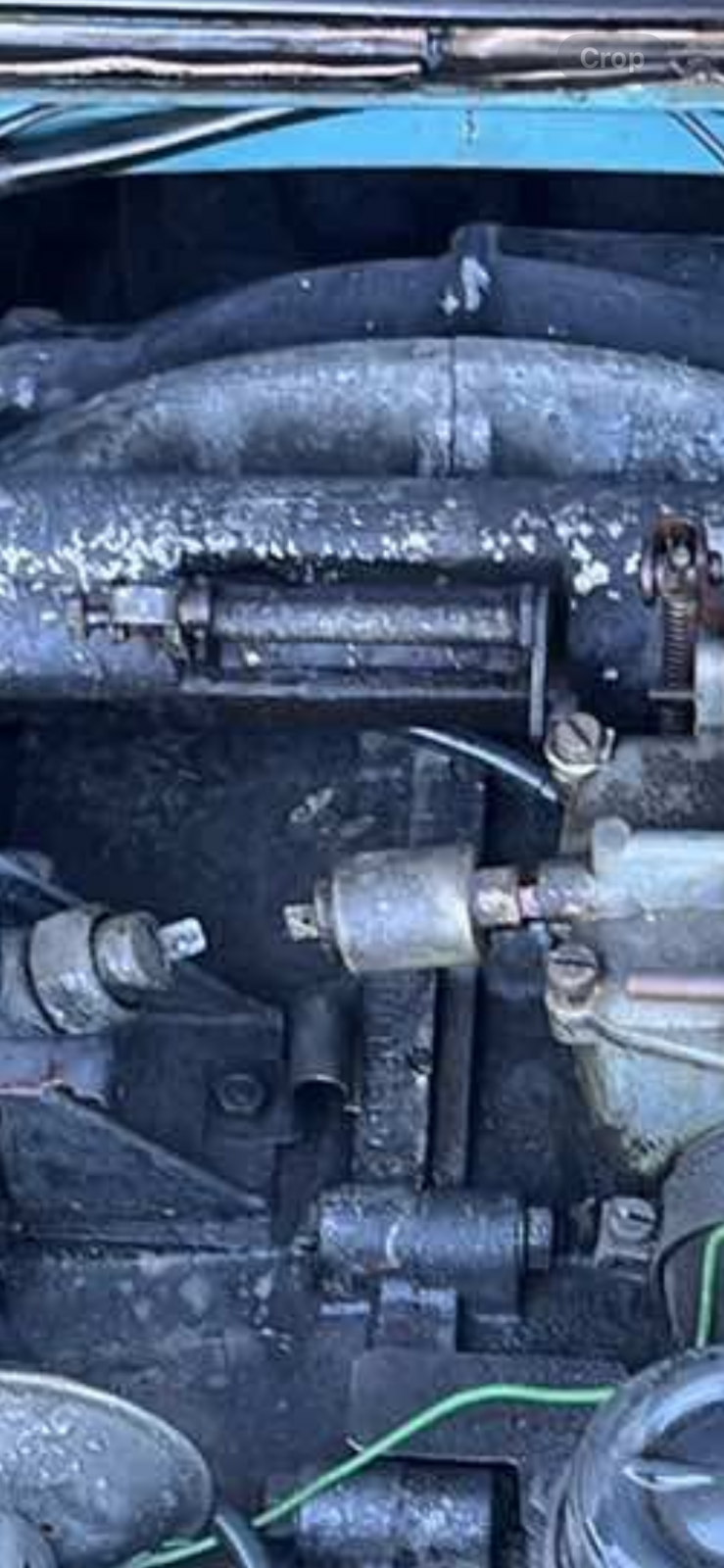 Image may have been reduced in size. Click image to view fullscreen.