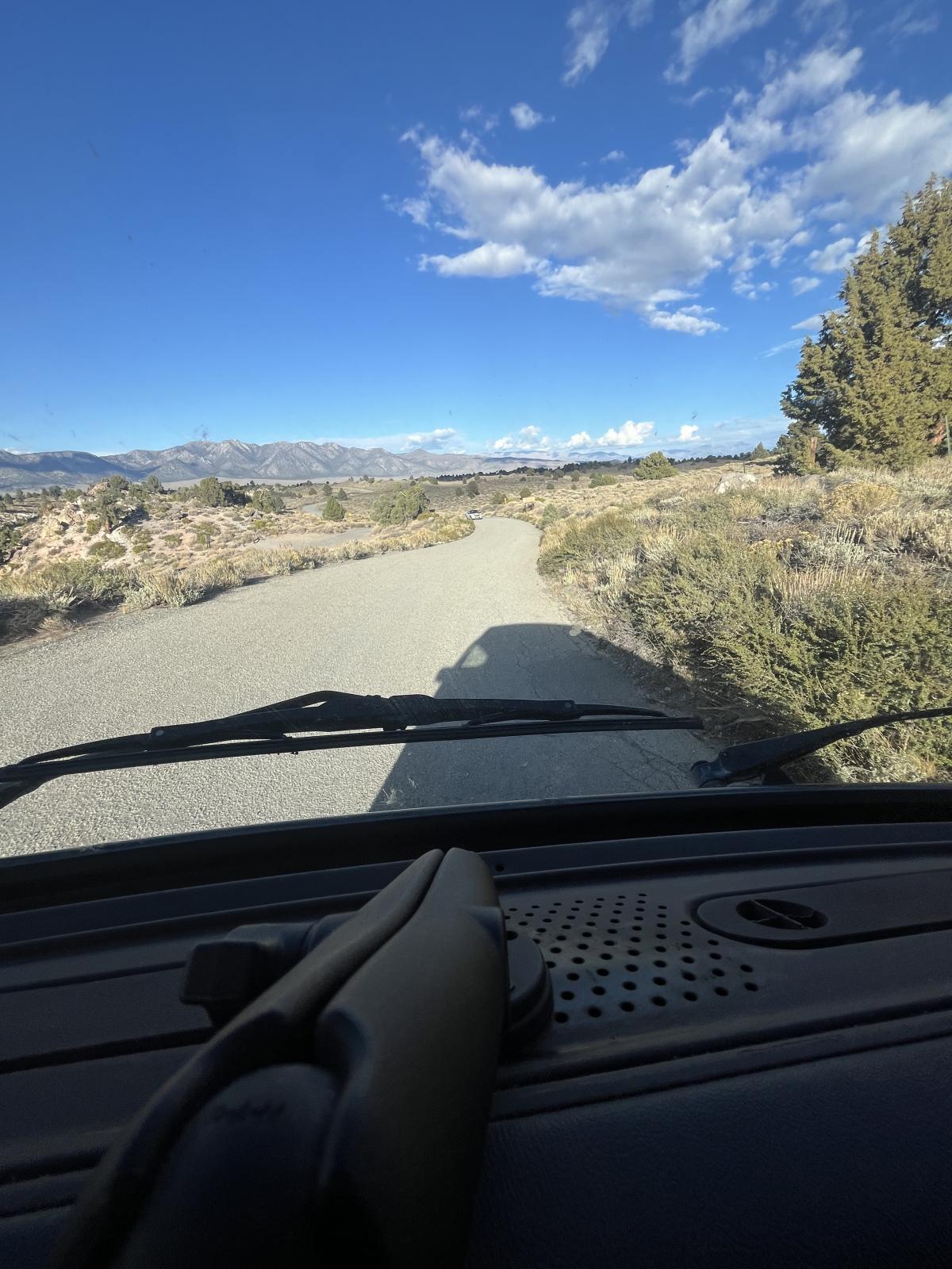 Image may have been reduced in size. Click image to view fullscreen.
