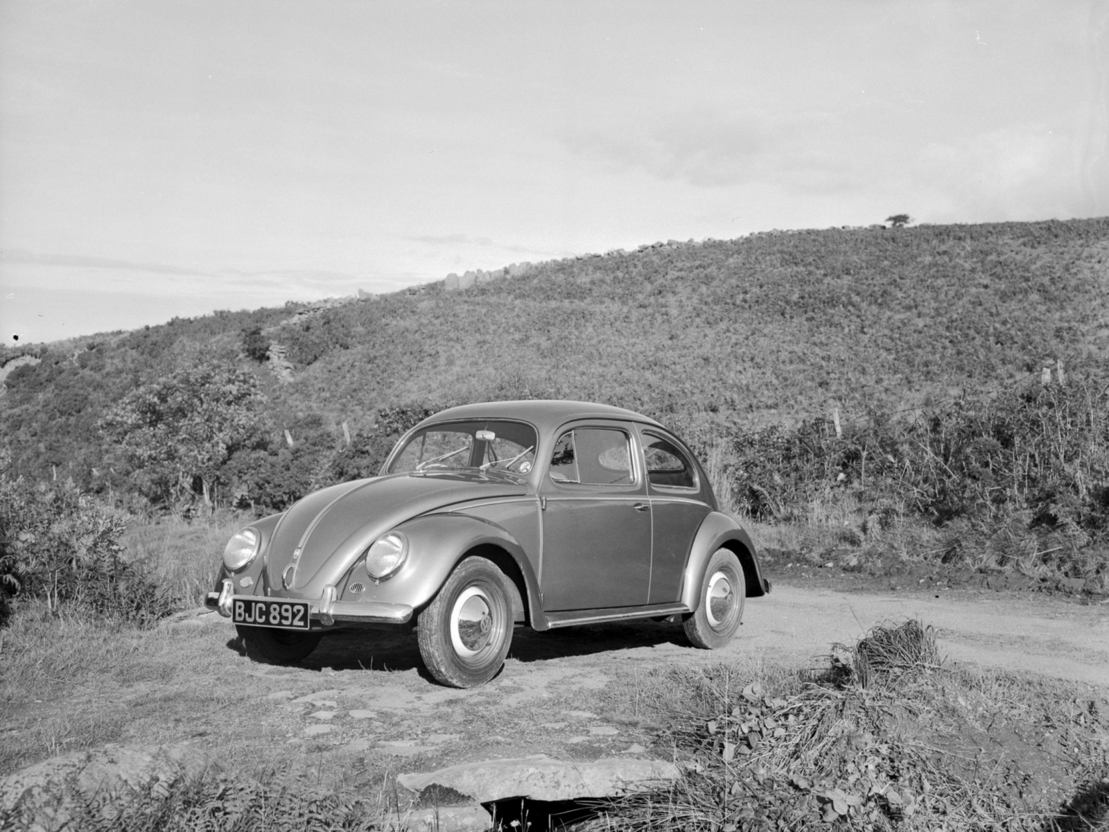 Image may have been reduced in size. Click image to view fullscreen.