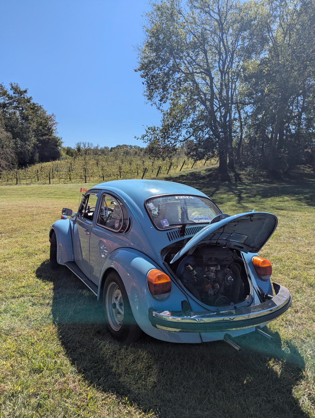 Image may have been reduced in size. Click image to view fullscreen.