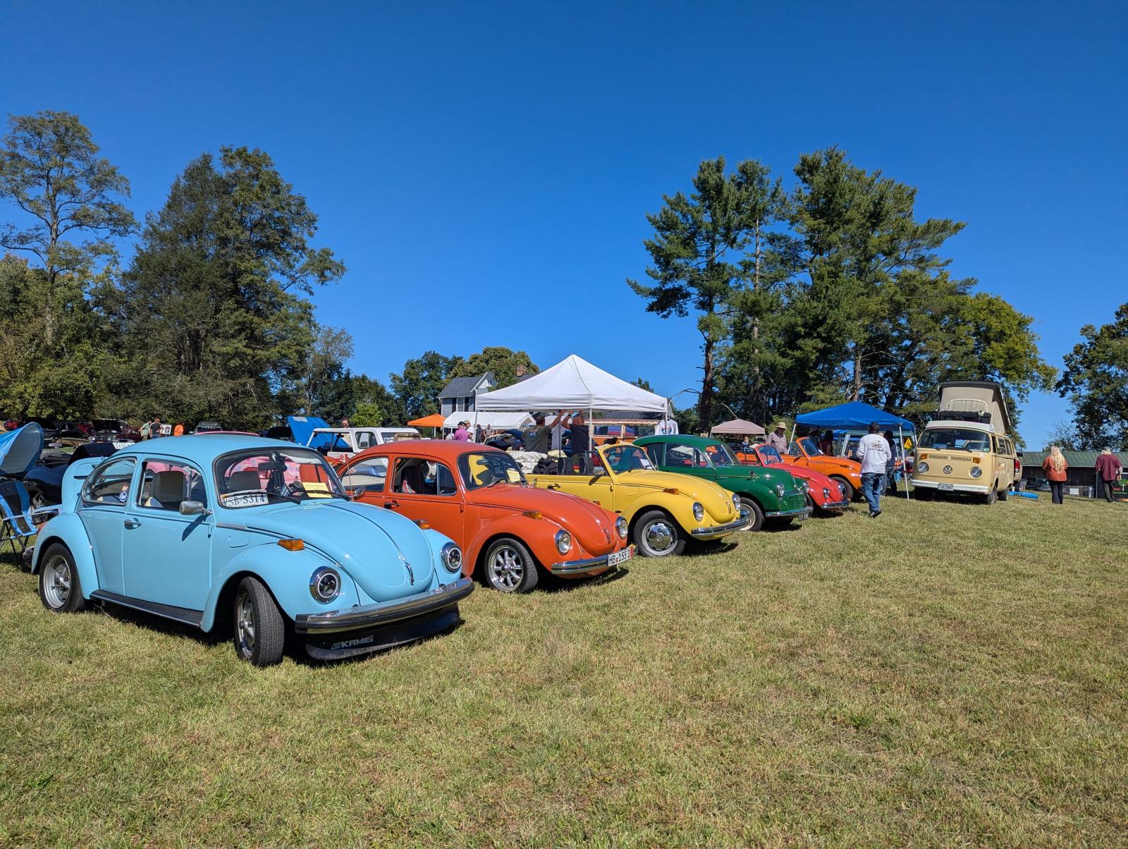 Image may have been reduced in size. Click image to view fullscreen.