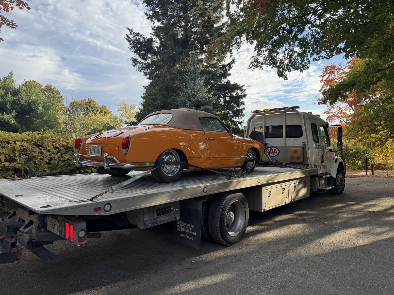 Image may have been reduced in size. Click image to view fullscreen.