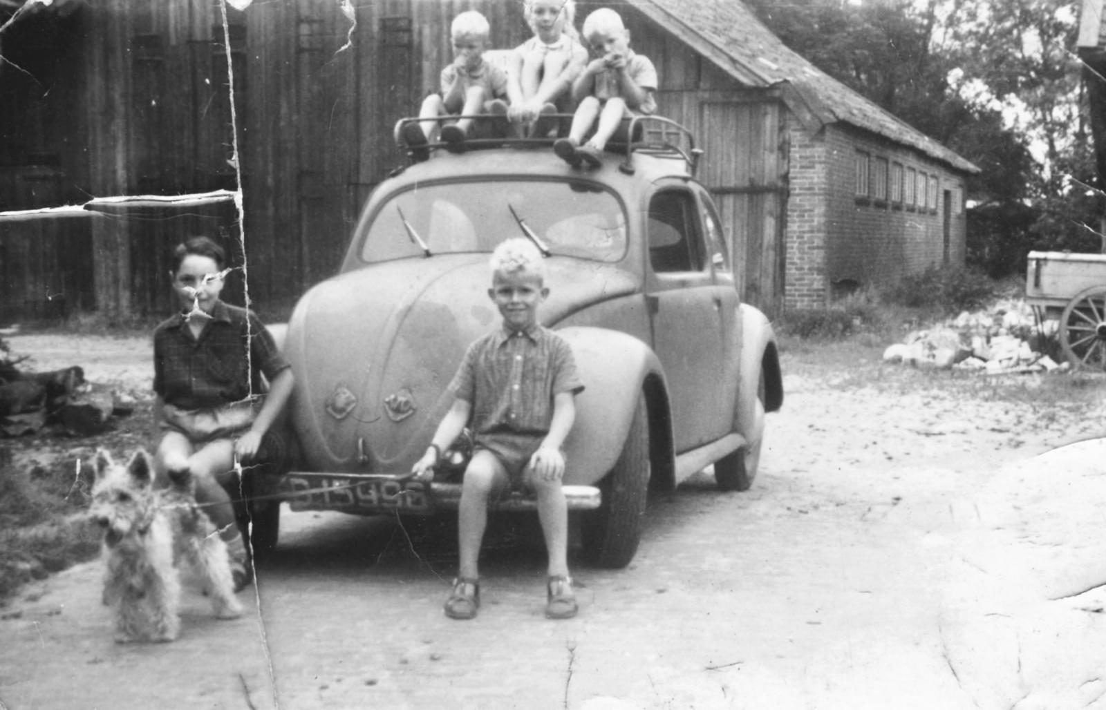 Image may have been reduced in size. Click image to view fullscreen.