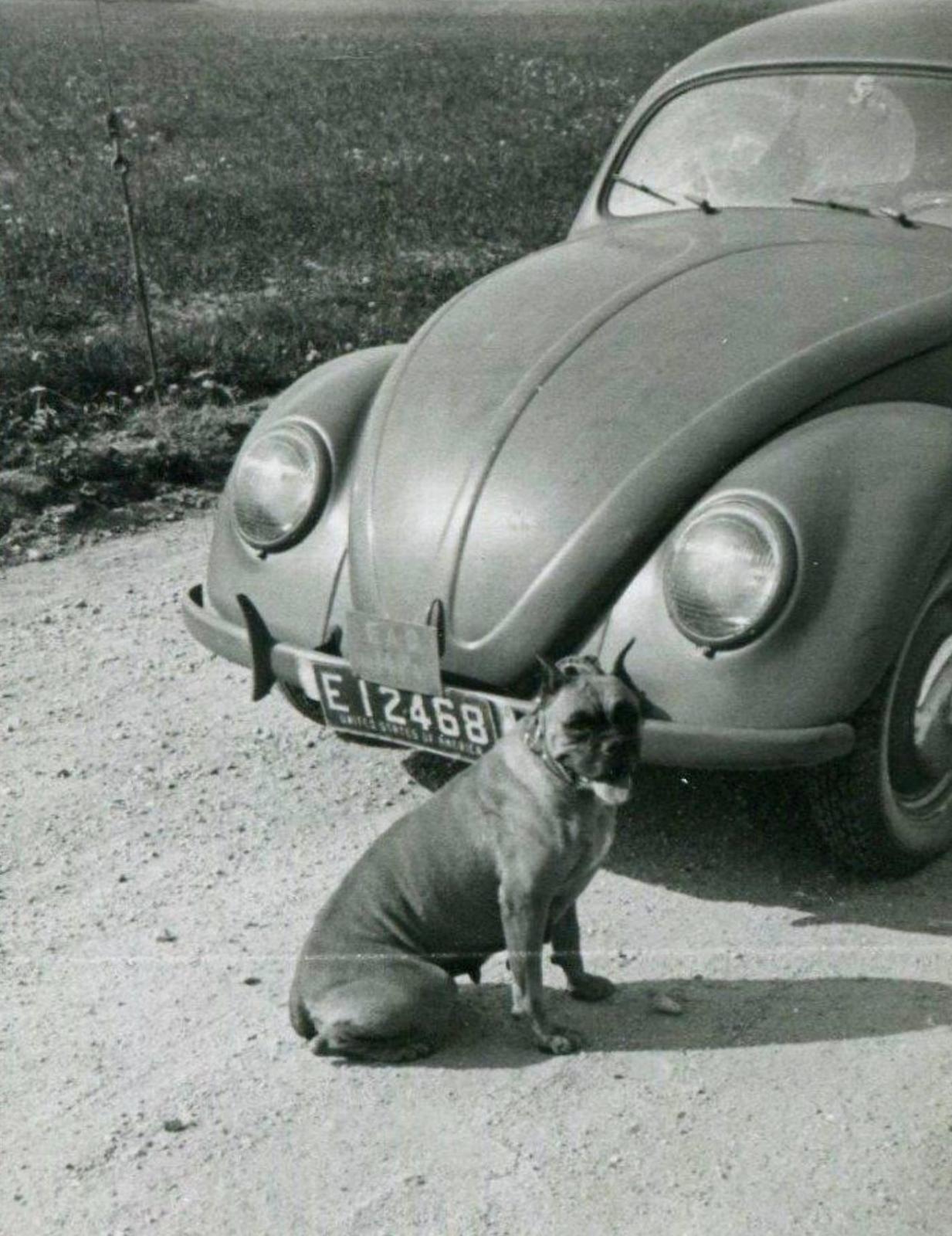 Image may have been reduced in size. Click image to view fullscreen.