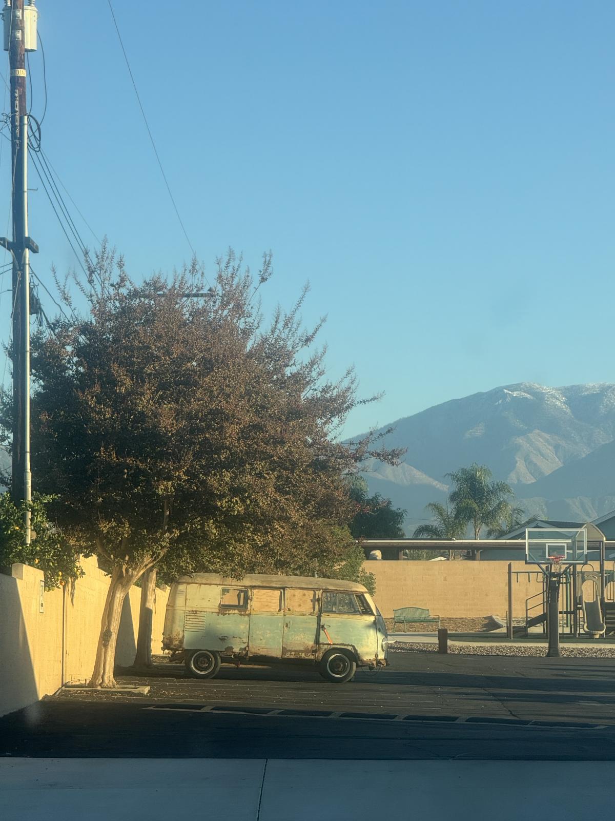 Image may have been reduced in size. Click image to view fullscreen.