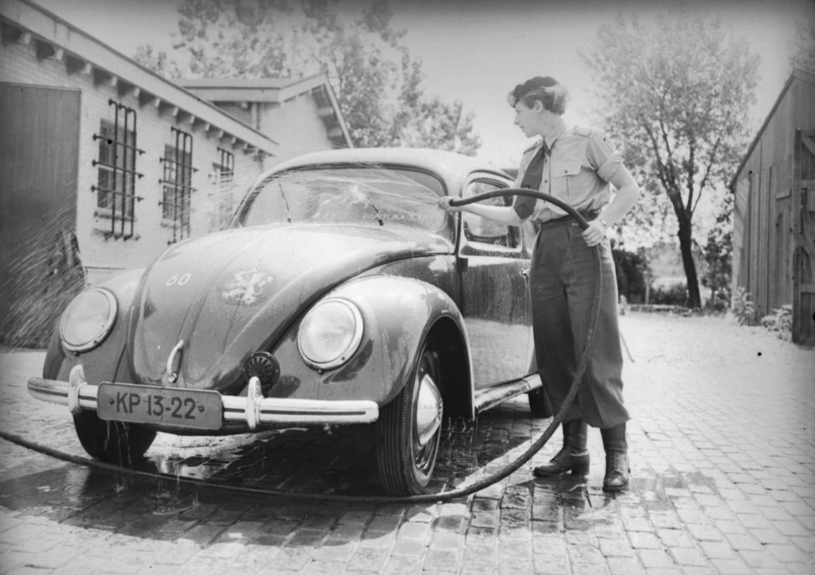 Image may have been reduced in size. Click image to view fullscreen.