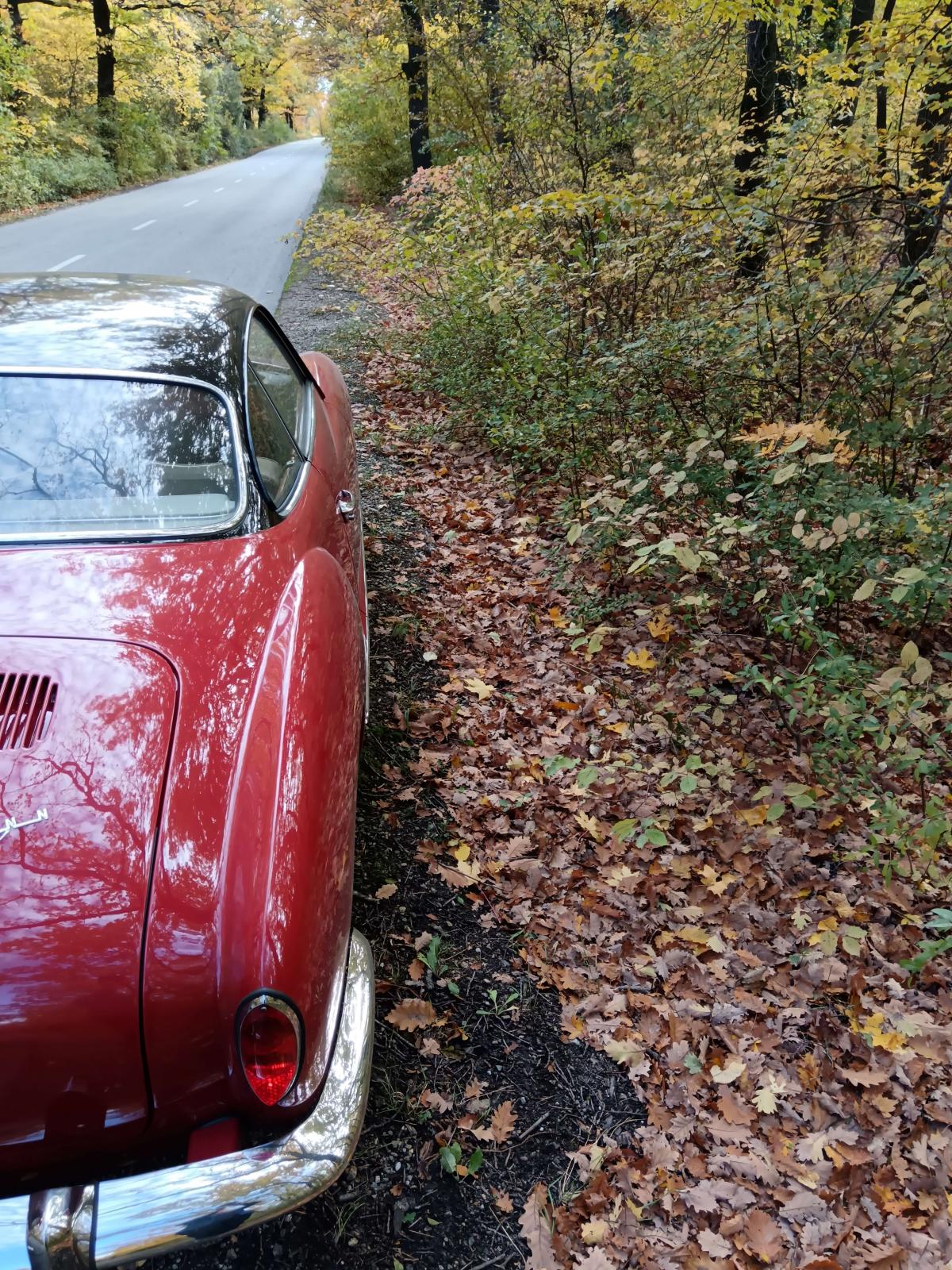 Image may have been reduced in size. Click image to view fullscreen.