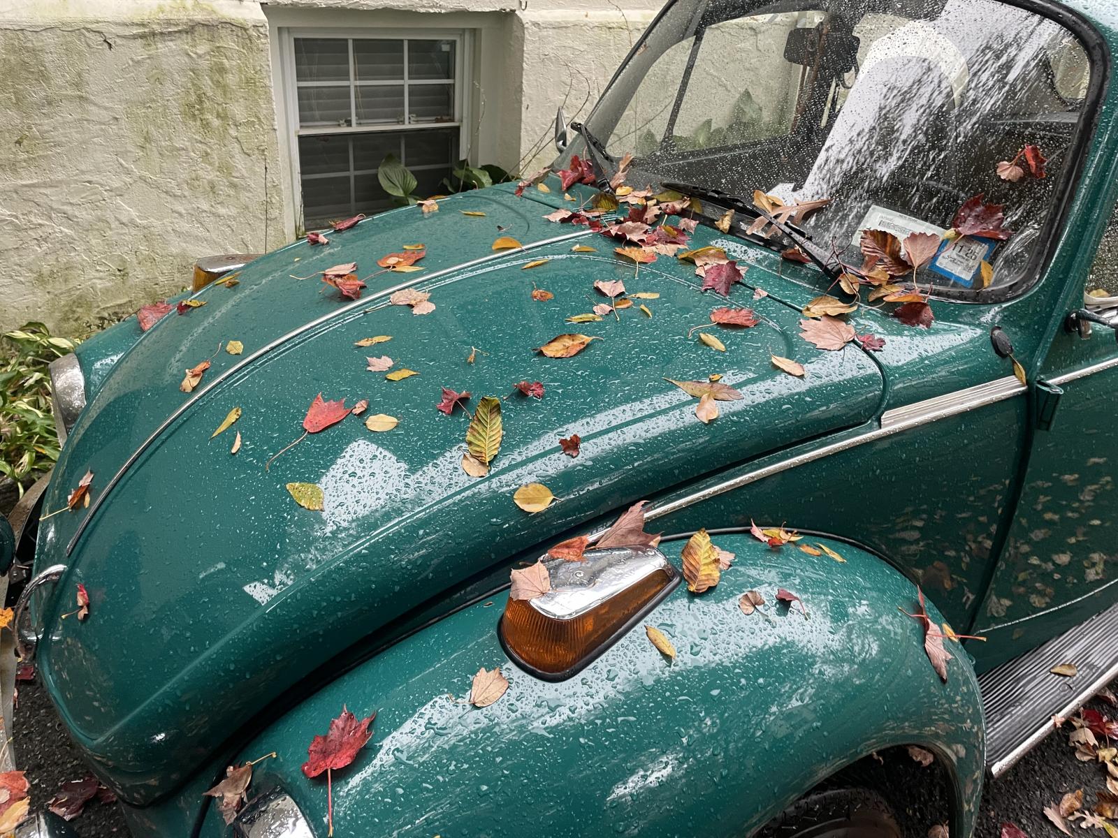 Image may have been reduced in size. Click image to view fullscreen.