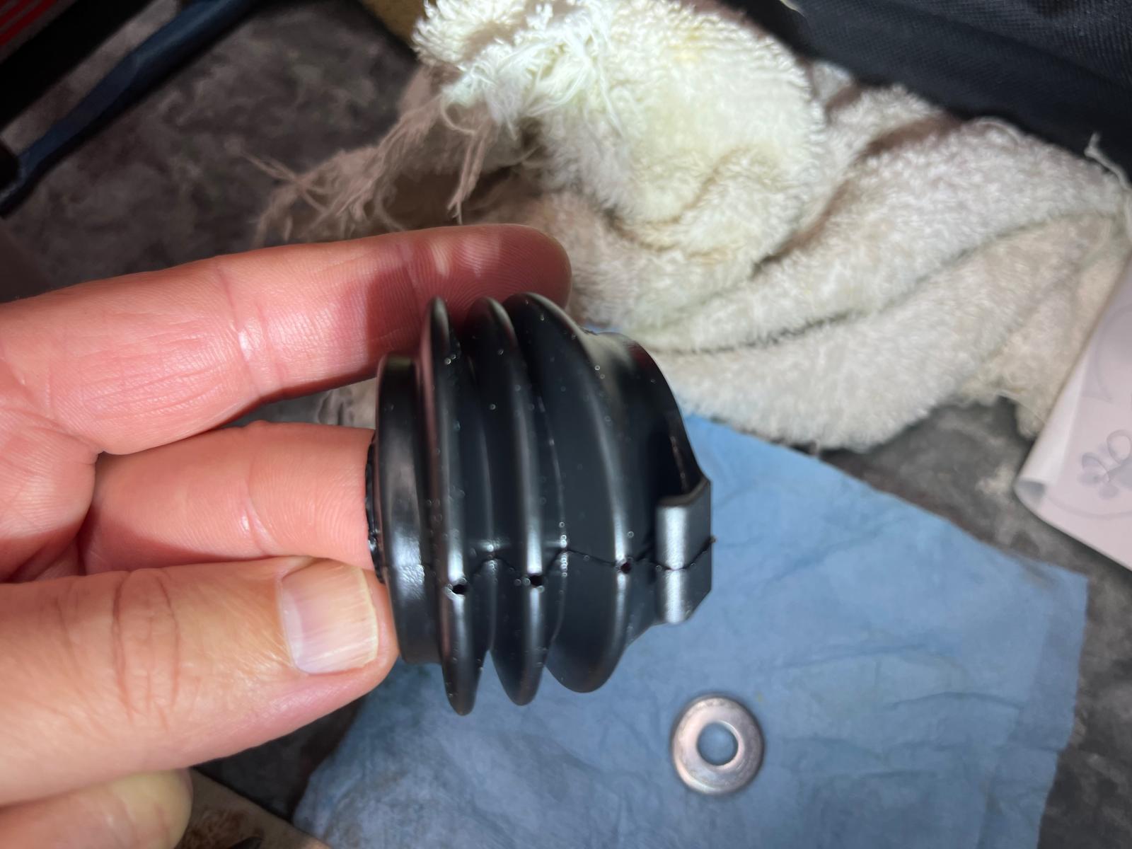 Image may have been reduced in size. Click image to view fullscreen.