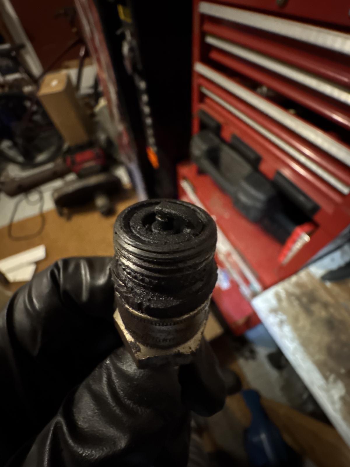 Image may have been reduced in size. Click image to view fullscreen.