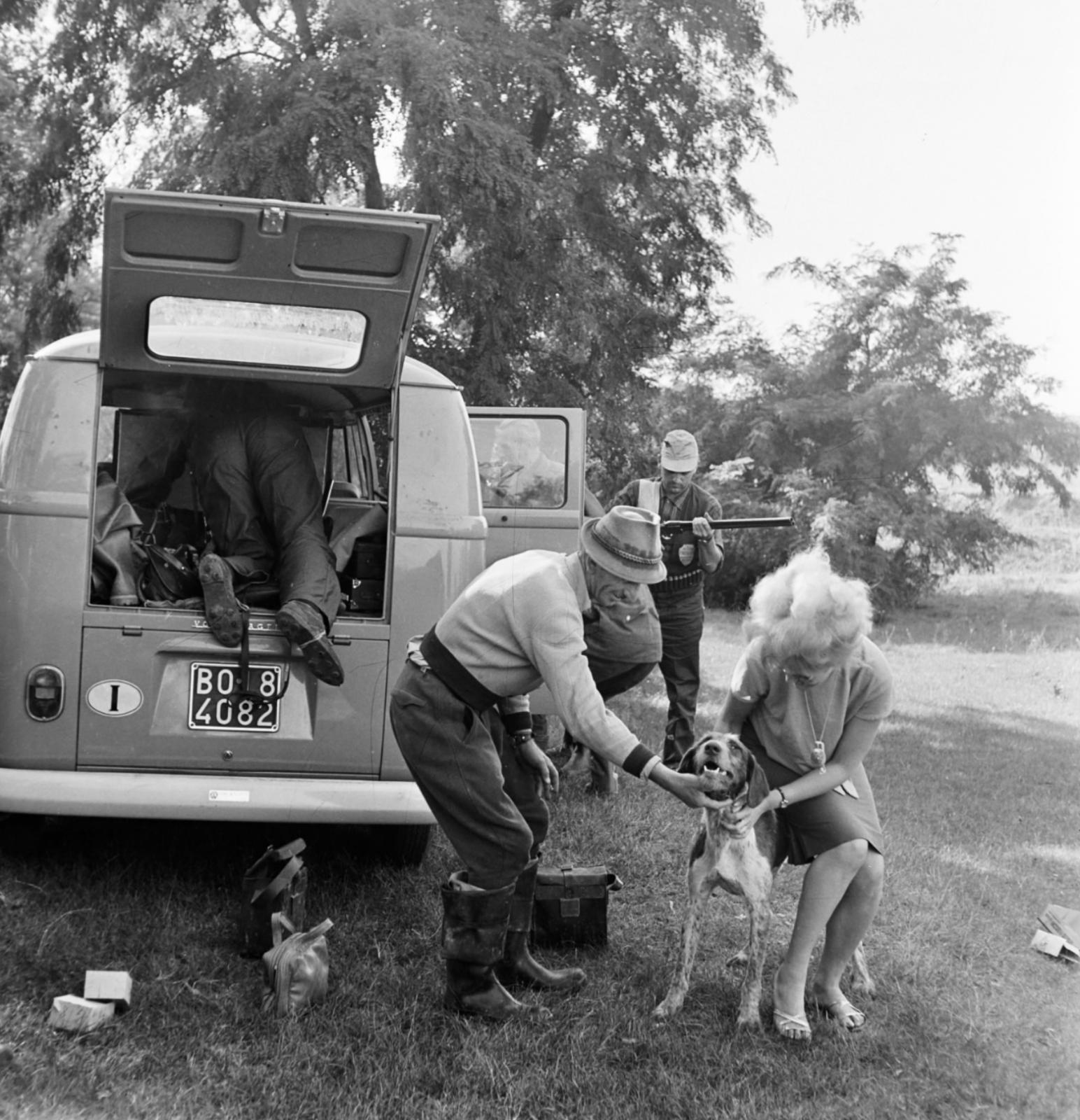 Image may have been reduced in size. Click image to view fullscreen.