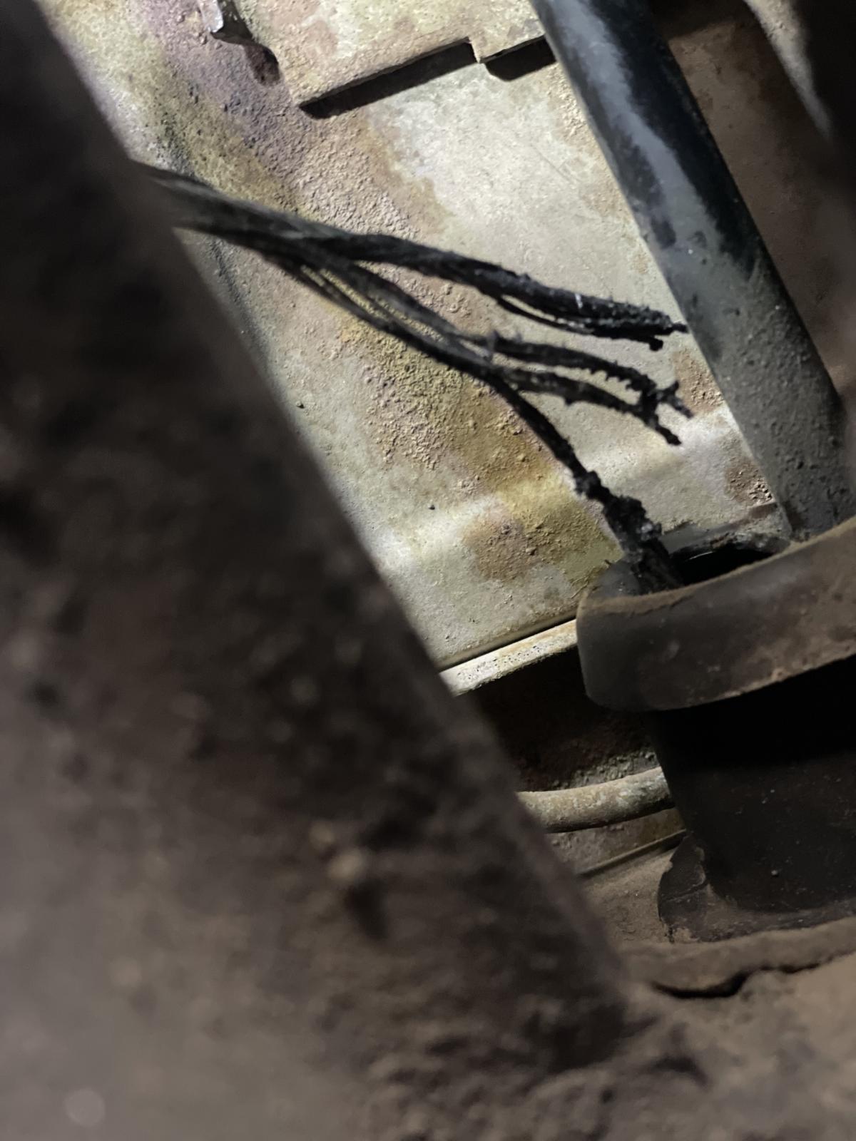 Image may have been reduced in size. Click image to view fullscreen.