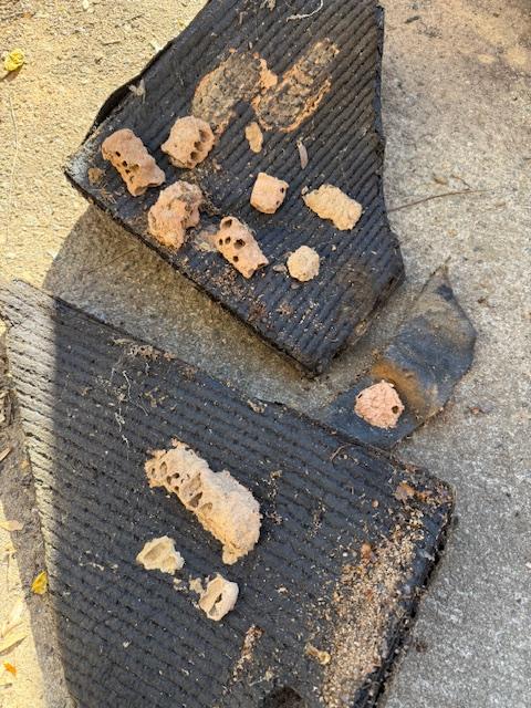 Image may have been reduced in size. Click image to view fullscreen.