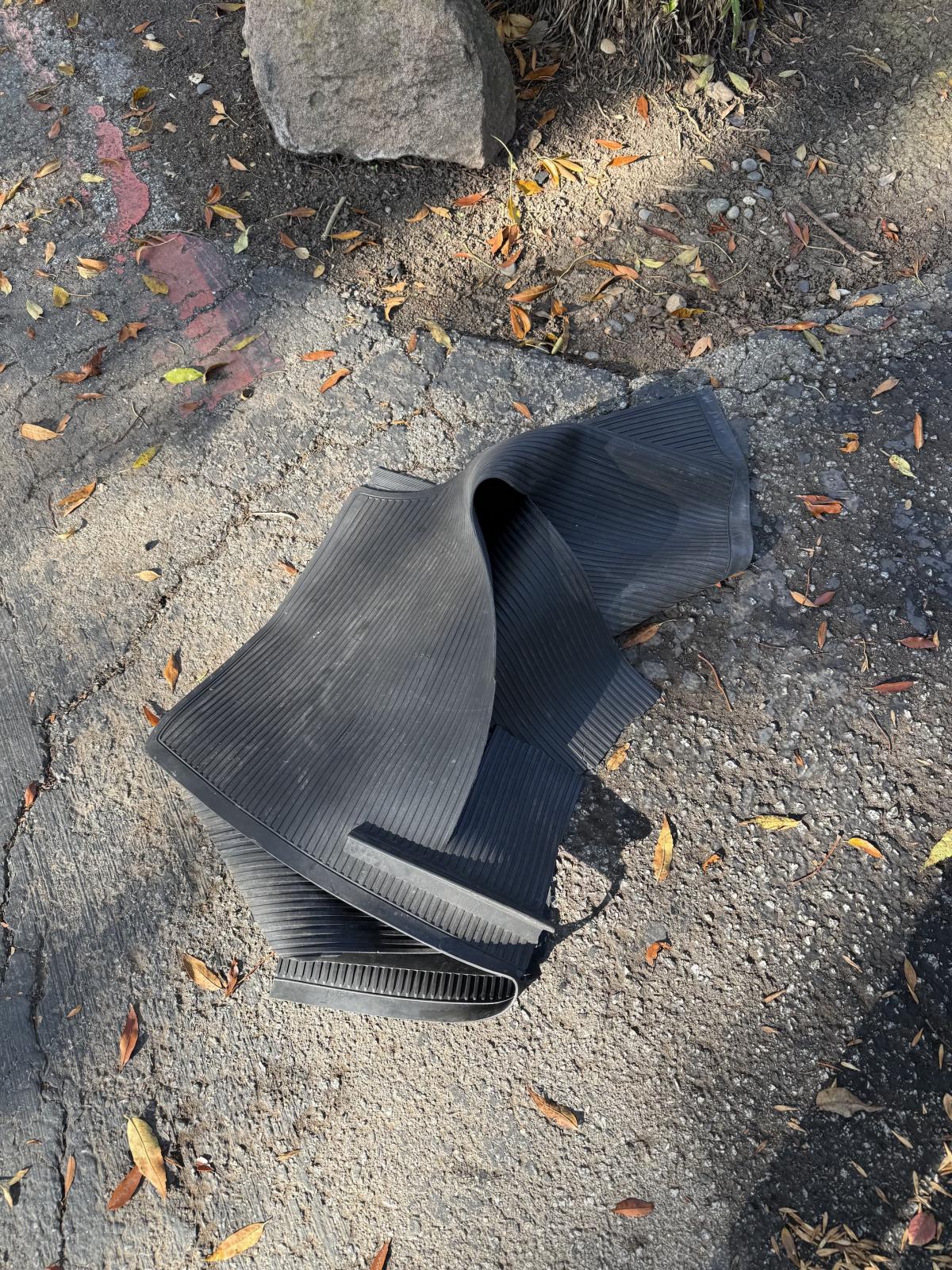 Image may have been reduced in size. Click image to view fullscreen.