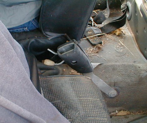 Image may have been reduced in size. Click image to view fullscreen.