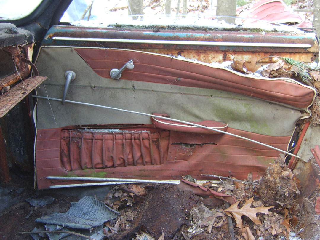 Image may have been reduced in size. Click image to view fullscreen.