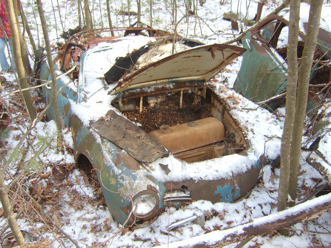 Image may have been reduced in size. Click image to view fullscreen.