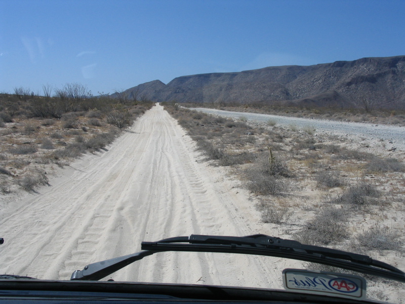 Image may have been reduced in size. Click image to view fullscreen.